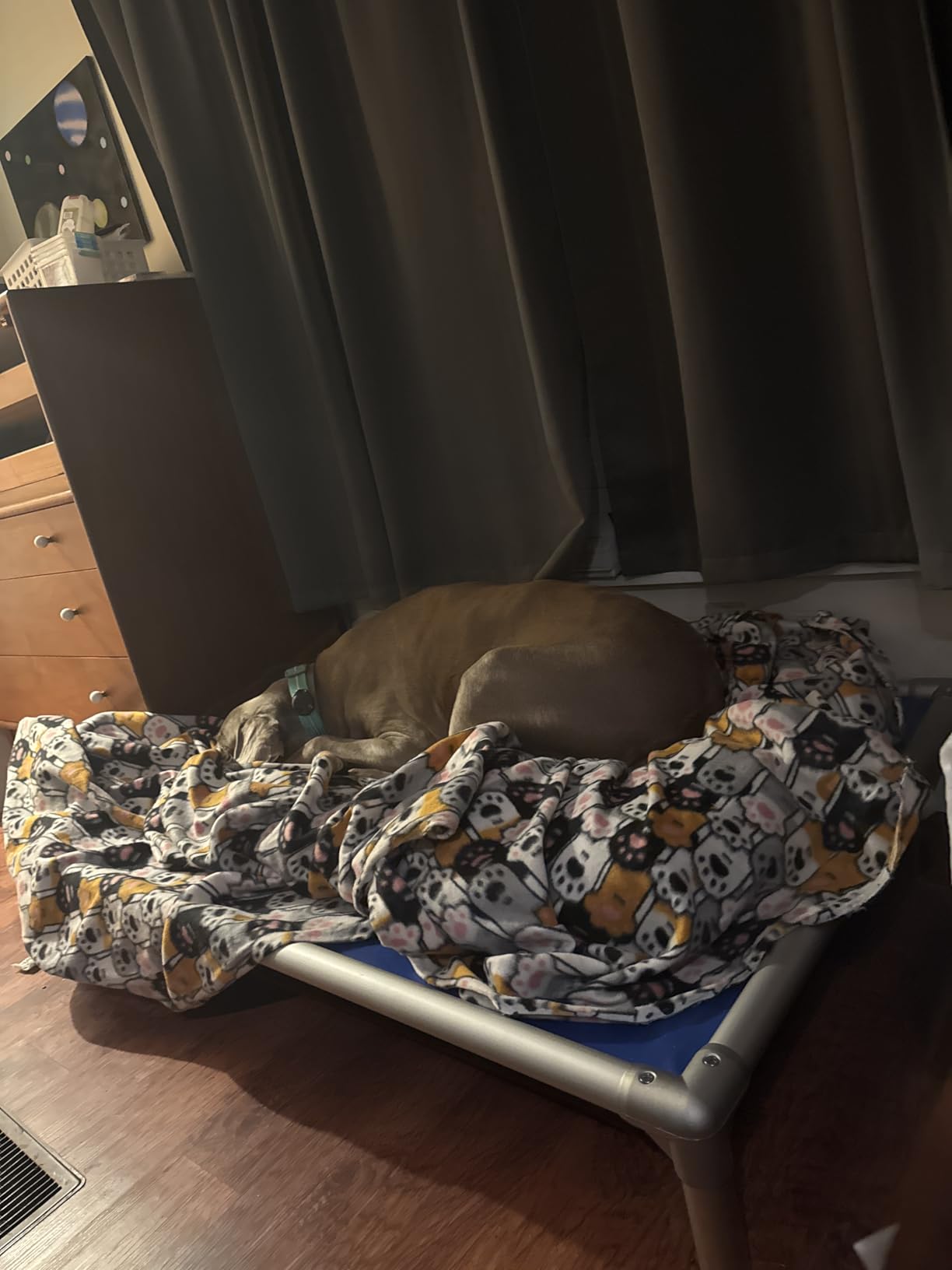 Kuranda Chewproof Elevated Dog Bed - Silver Aluminum - 50