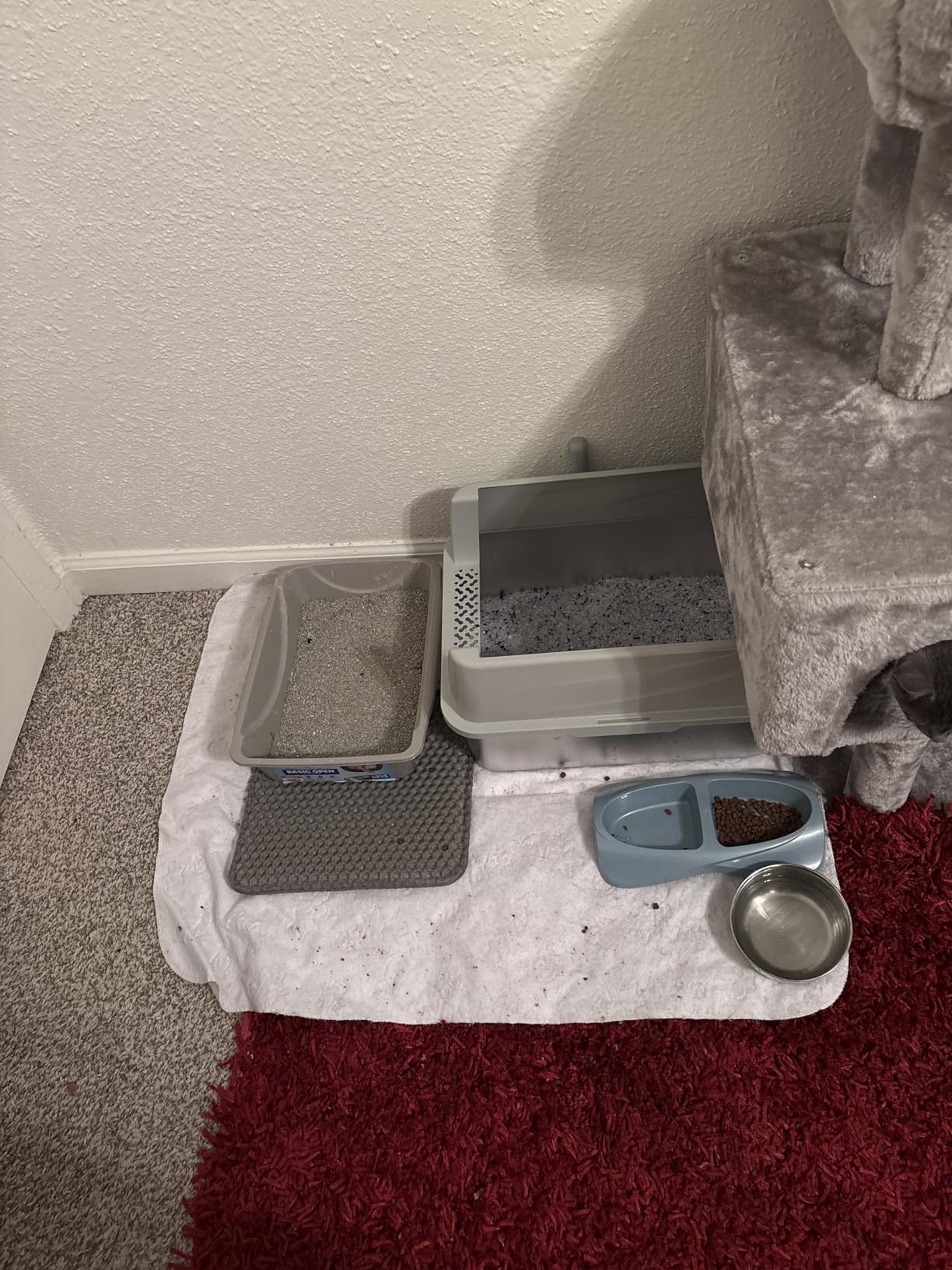 Petmate Basic Open Cat Litter Pan, Multidirectional Easy to Clean Plastic Litter Box, Gray, Made in USA, 14.5