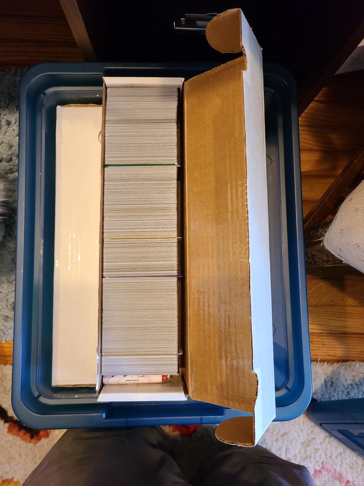 BCW 800ct Trading Card Storage Boxes - 3 Pack | Organizer for Sports Cards, MTG, Pokemon, and Card Games customer photo 2