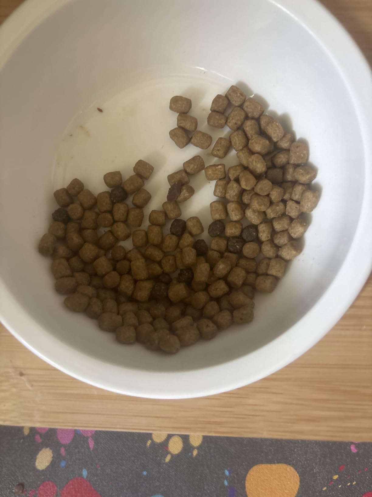 Blue Buffalo Wilderness Chicken Natural High-Protein Grain-Free Dry Food for Adult Indoor Cats, 11 lbs. customer photo 2