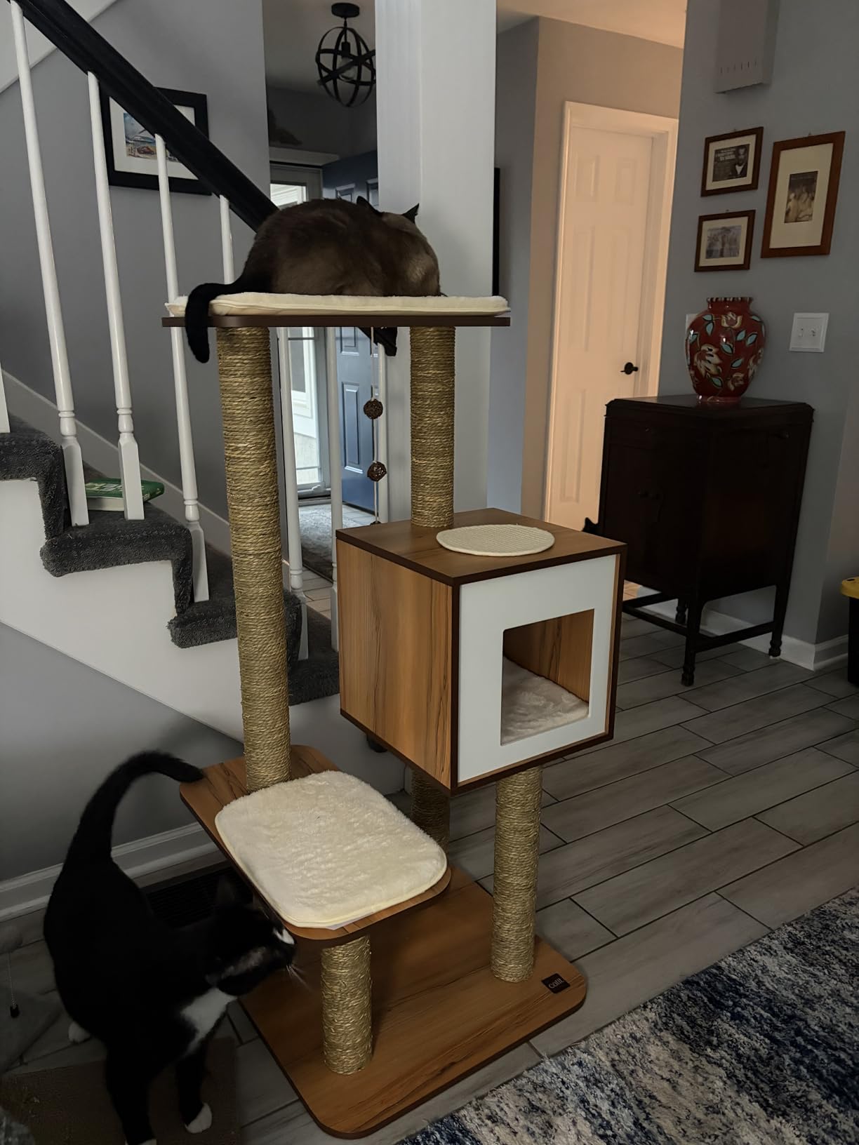 Vesper Cat Tree, High Base, Walnut, 52045 customer photo 2