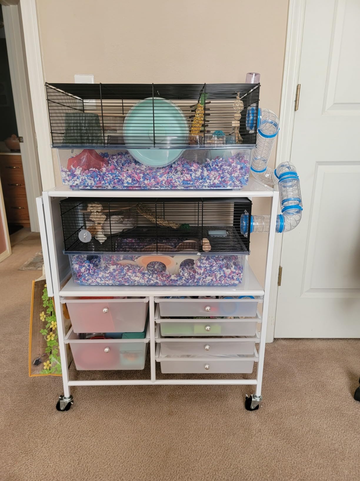 Ferplast Favola Hamster Cage Includes Free Water Bottle, Exercise Wheel, Food Dish & Hamster Hide-Out, 23.6L x 14.4W x 11.8H Inches customer photo 1