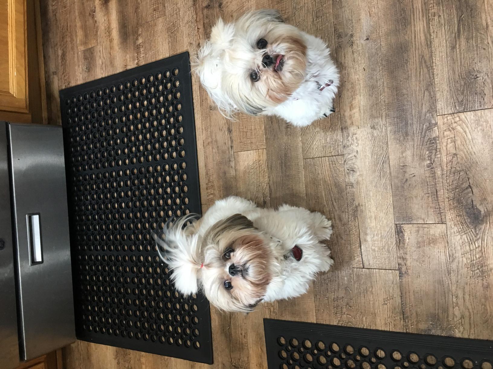 Envelor Anti Fatigue Mat Rubber Floor Mats Door Mat Non Slip Drainage Mat for Entryway, Kitchen, Restaurant, Garage, Heavy Duty Use Doormat, Commercial Floor Mat Industrial 36 x 60 Inches customer photo 2