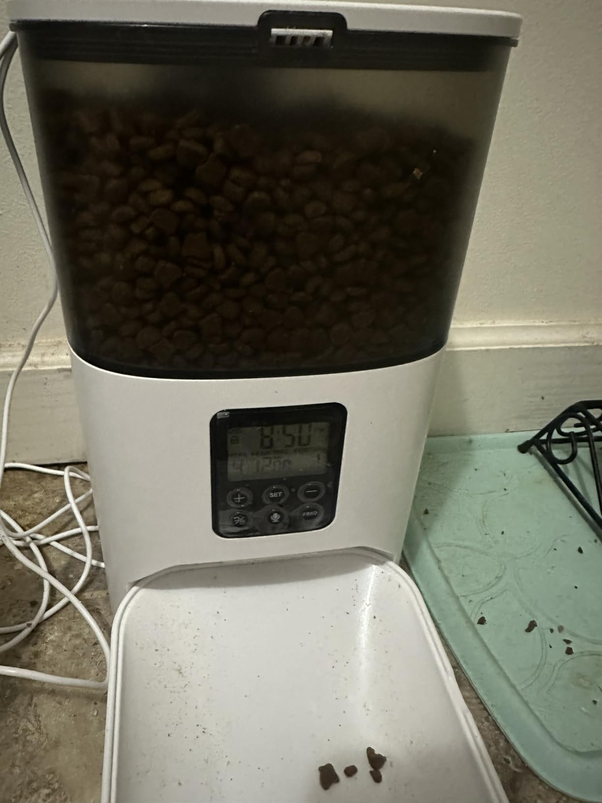 IAMS Proactive Health Dry Cat Food, Healthy Cat Food Dry Recipe for Adults, with Chicken 3.5 lb. Bag customer photo 2