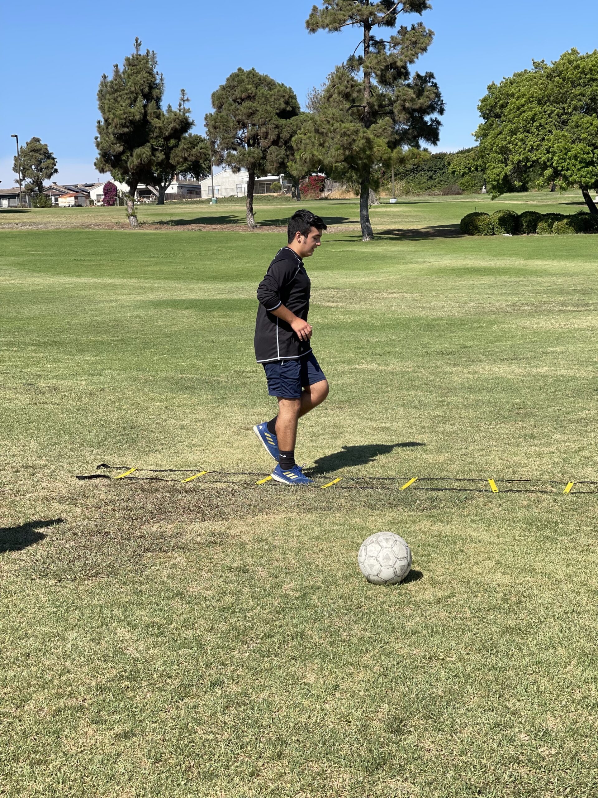 POWER GUIDANCE Agility Ladder (20 Feet) with Cones for Speed Agility Training & Quick Footwork Exercise customer photo 2