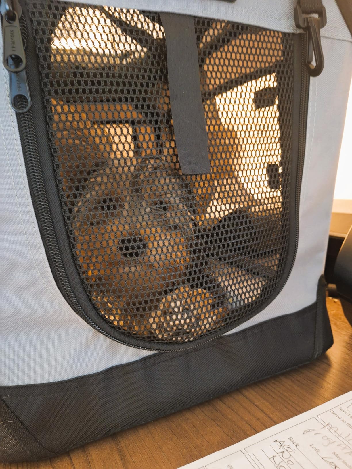 EliteField 3-Door Folding Soft Dog Crate with Carrying Bag and Fleece Bed (2 Year Warranty), Indoor & Outdoor Pet Home (30