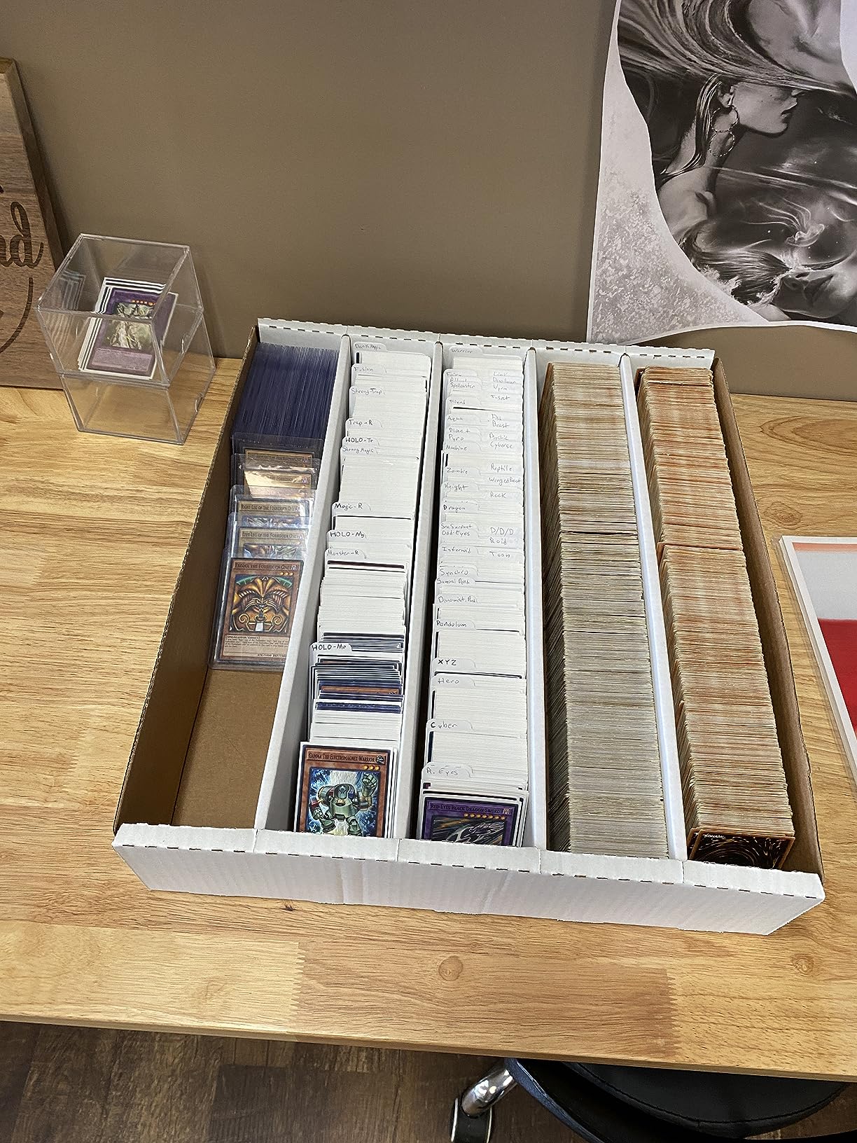 Super Monster 5 Row Trading Card Storage Box - 5ct | Holds 5000 Standard Trading Cards & 7000 Gaming Cards | Card Storage Box for Basketball, Football, MTG, Pokemon customer photo 2