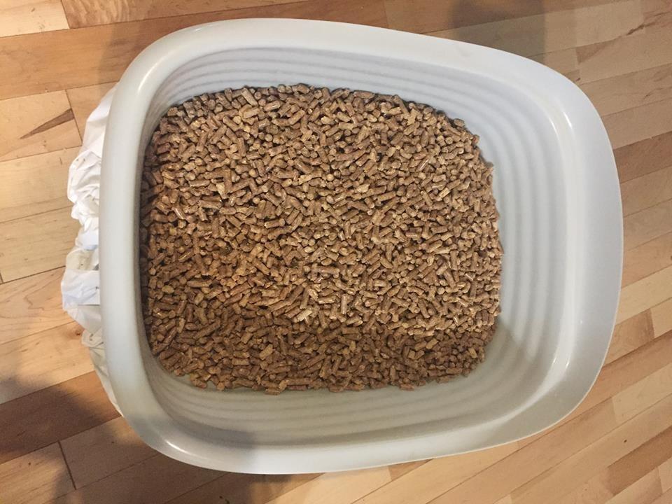 Arm & Hammer Large Sifting Litter Box Scoop Free Cat Litter Tray with Microban, Made in USA customer photo 1