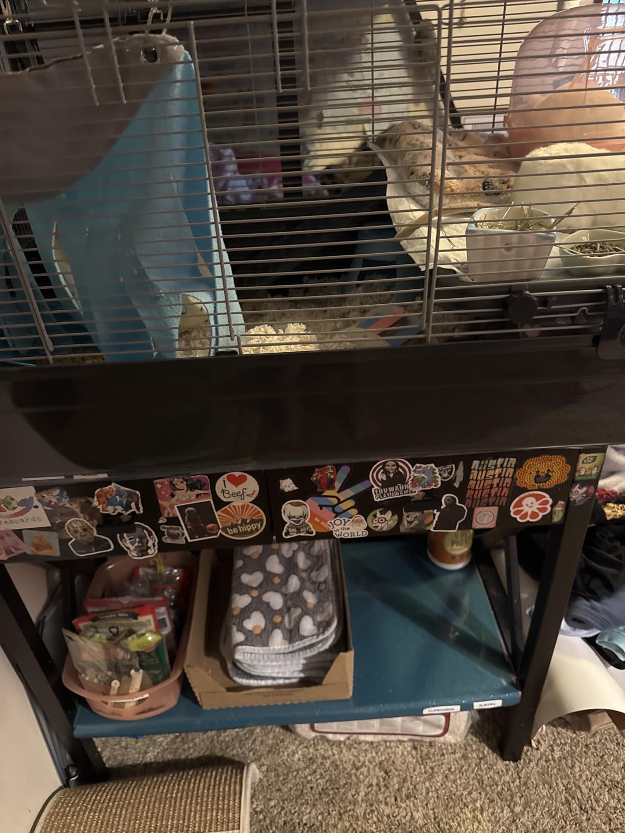 Prevue Pet Products Universal Small Animal Home - Small Animal Cage for Hamsters, Guinea Pigs, Ferrets, Dwarf Rabbits, Rats, Chinchillas, Hedgehogs customer photo 1