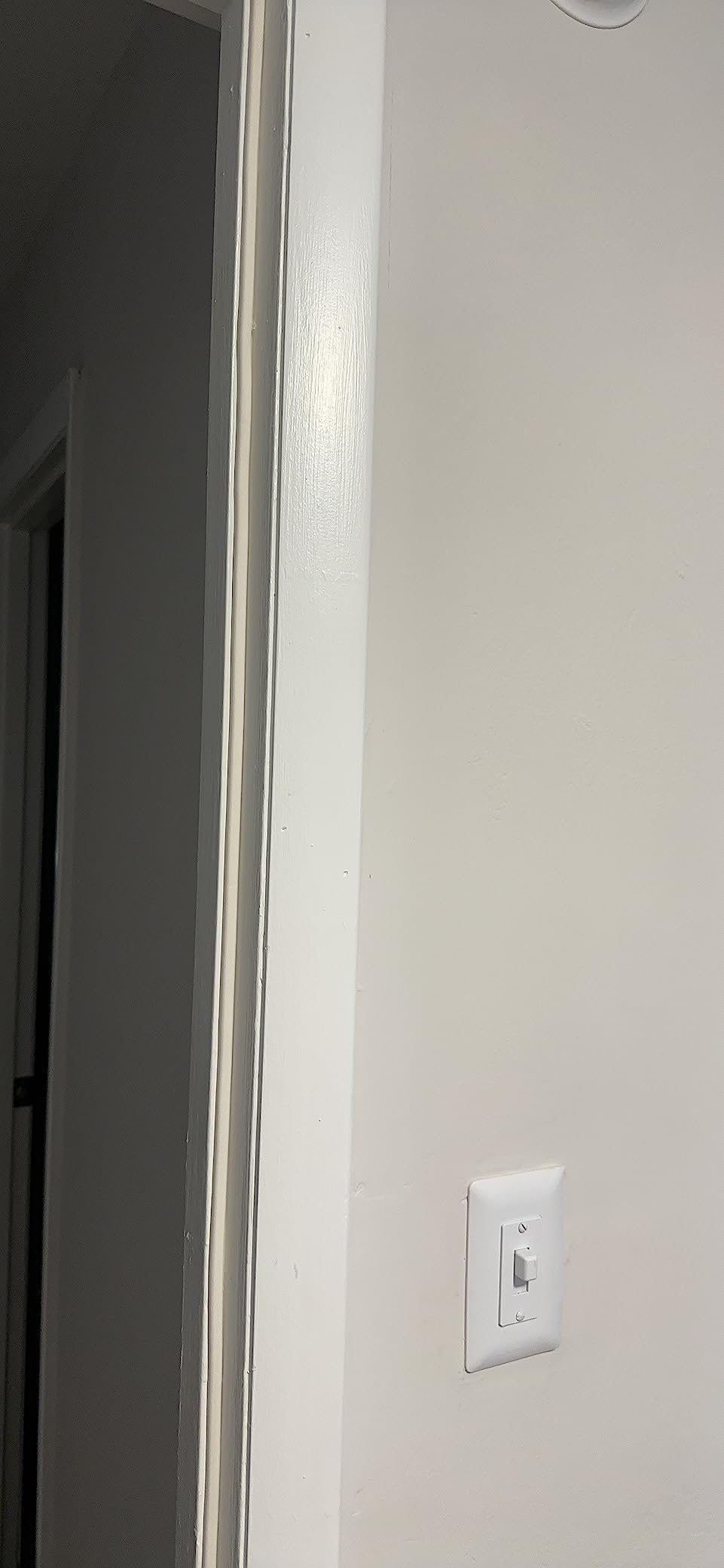 CloudBuyer Door & Window Weather Stripping, Soundproof Insulation Seal Strip with Self-Adhesive Rubber Collision Protection, 16.5 Ft (White) customer photo 1