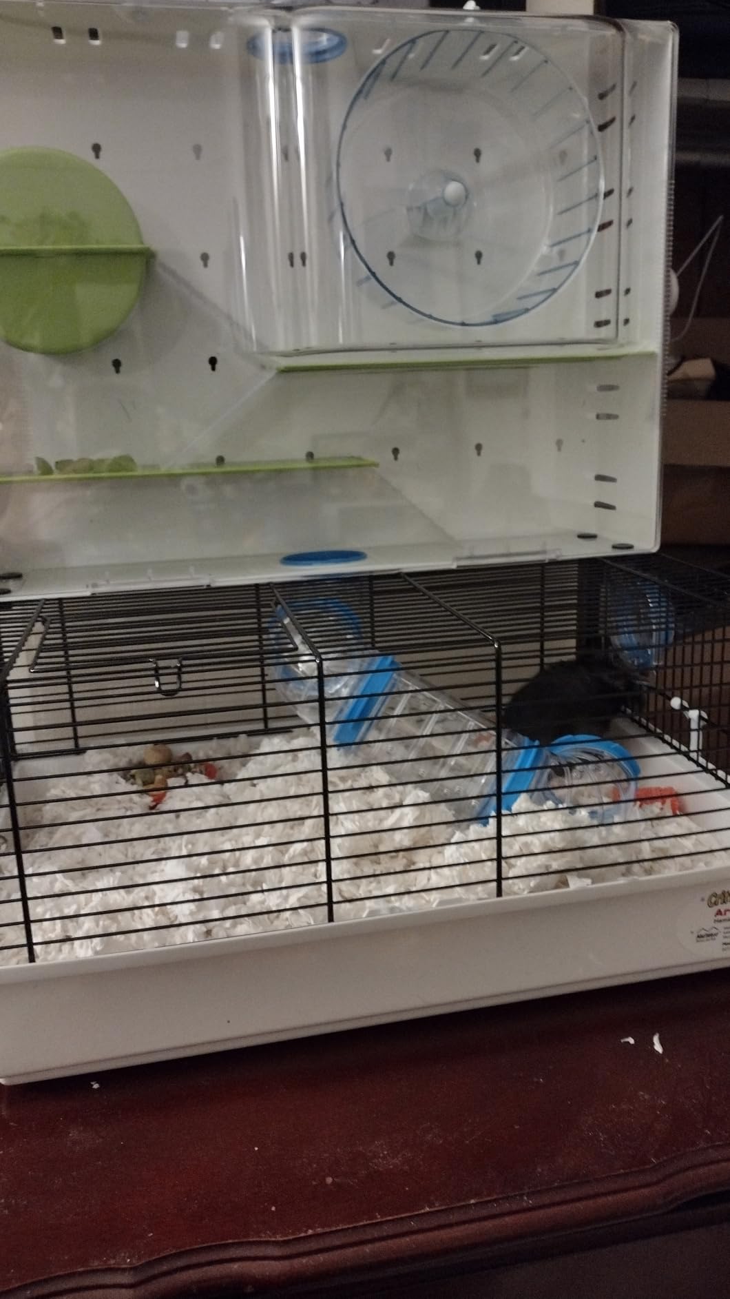 MidWest Homes for Pets Hamster Cage | Awesome Arcade Hamster Home (White) | 18.11 x 11.61 x 21.26 Inch customer photo 1