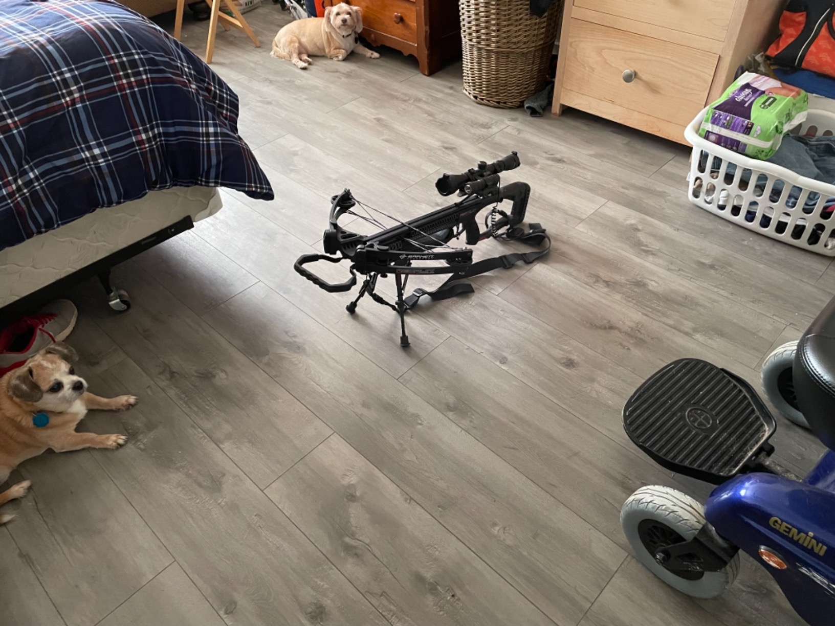 CVLIFE Bipod, Carbon Fiber Bipod for Rifle with Picatinny Adapter 6-9 Inches Bipod customer photo 2