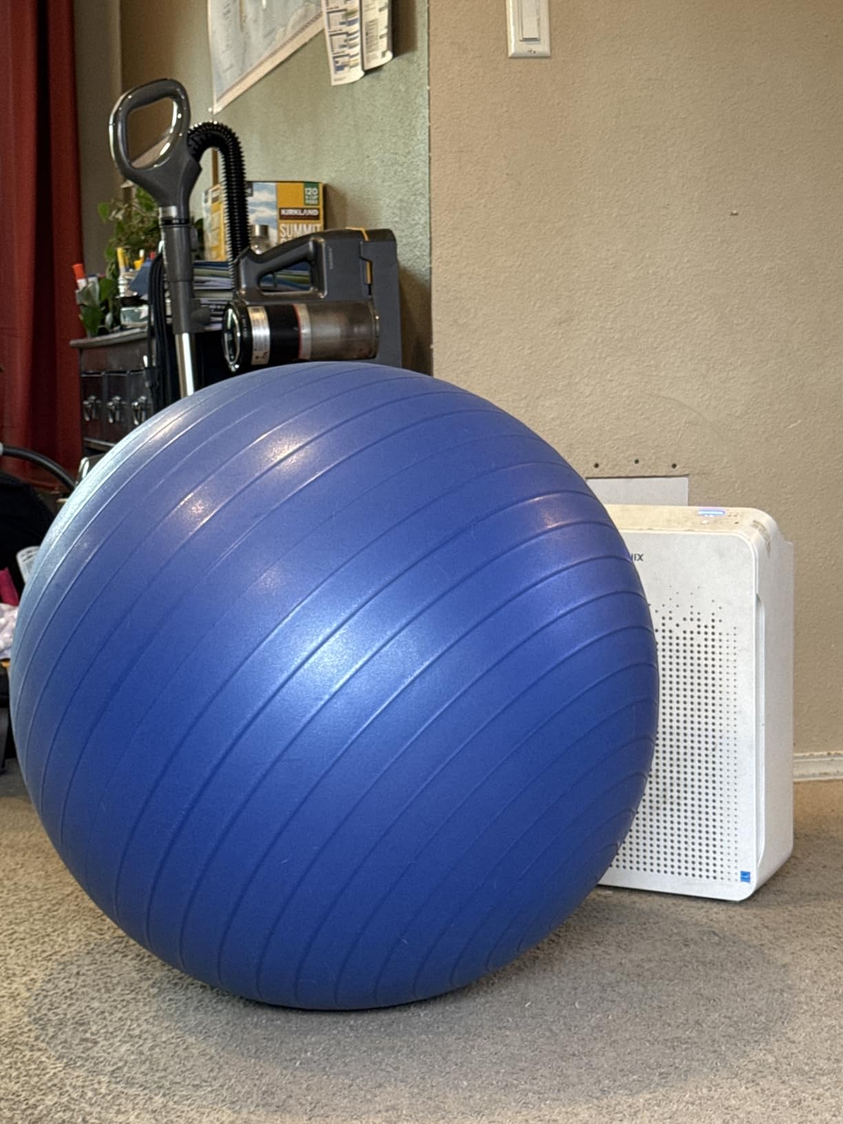 Trideer Exercise Ball for Yoga, Pilates & Fitness - Stability Ball Equipment for Home Gym & Office Chair, Core & Balance Training Accessories, Physical Therapy Equipment, Quick Pump Included, 5 Sizes customer photo 1