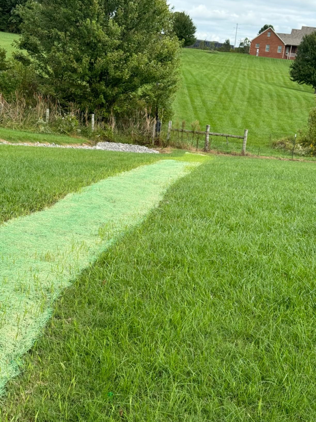 Dewitt 2-Pack Single Net Excelsior Blanket, Green, 4 x 112.5 Feet - Aspen Wood Fiber Erosion Control Mat with Netting for Soil Protection, Grass & Seed Establishment, Ground Cover and Landscaping customer photo 1