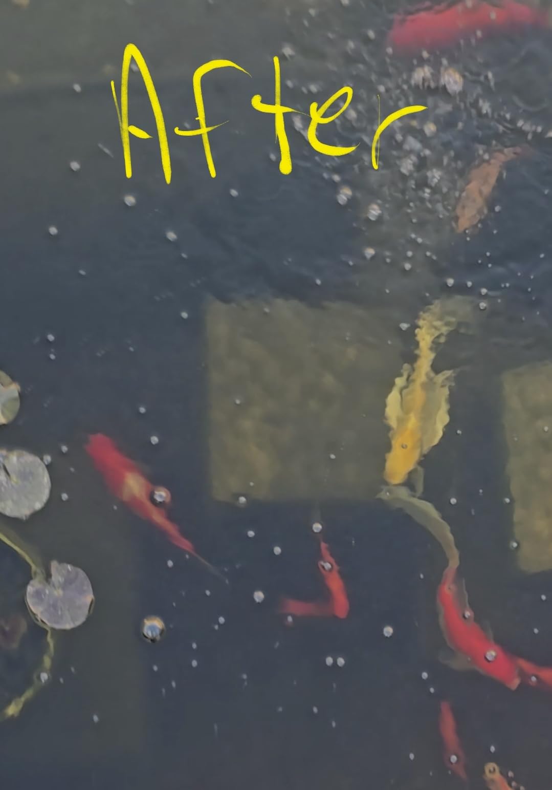 The Pond Guy ClearSkim Skimmer with Faux Rock Lid - Water Garden & Koi Pond Skimmer with Filter Pad & Debris Net customer photo 1