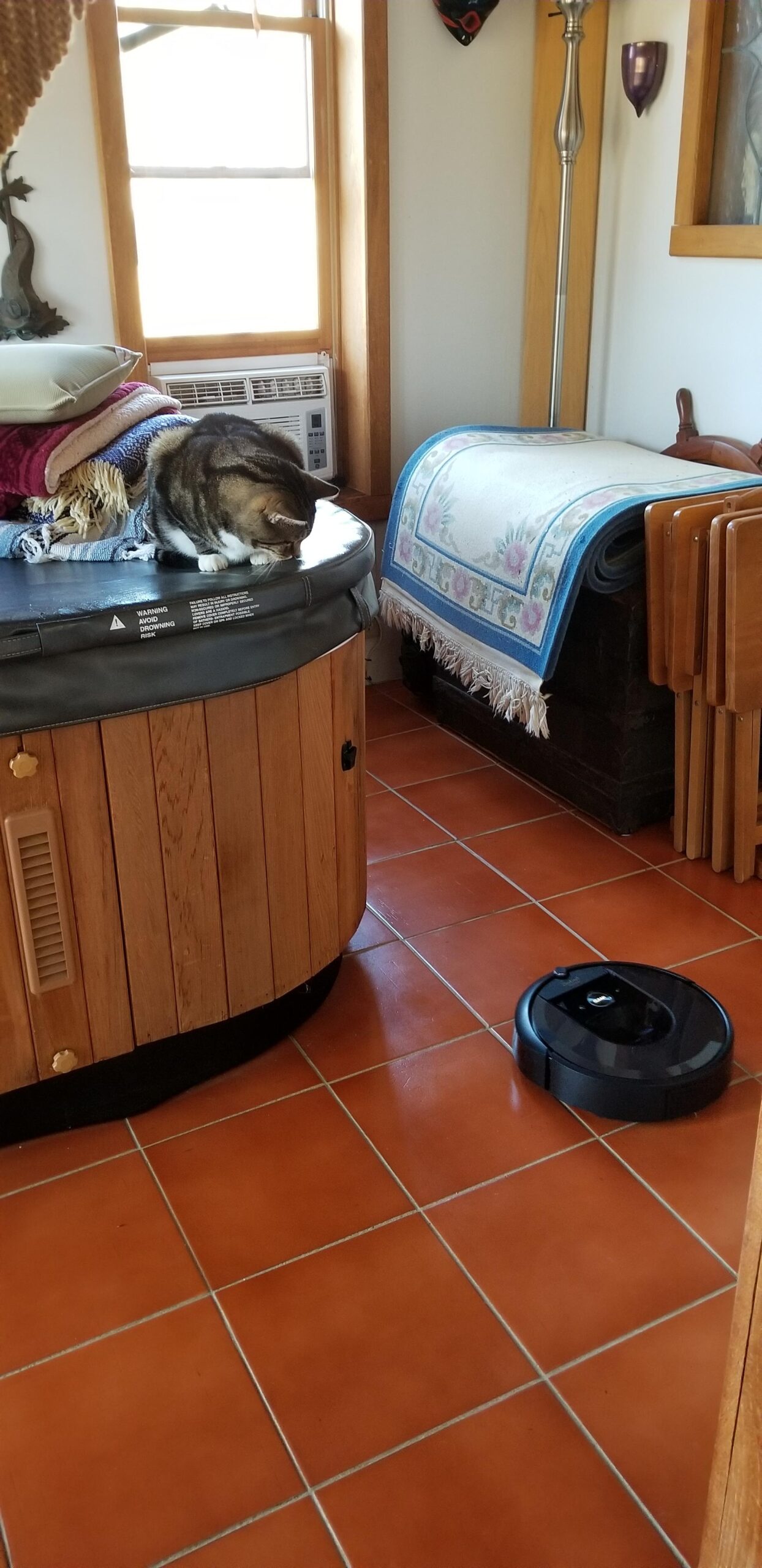 iRobot Roomba j7+ (7550) Robot Vacuum Bundle with Automatic Dirt Disposal - Wi-Fi Connected, Smart Mapping, Ideal for Pet Hair (+2 AllergenLock Dirt Disposal Bags) customer photo 1