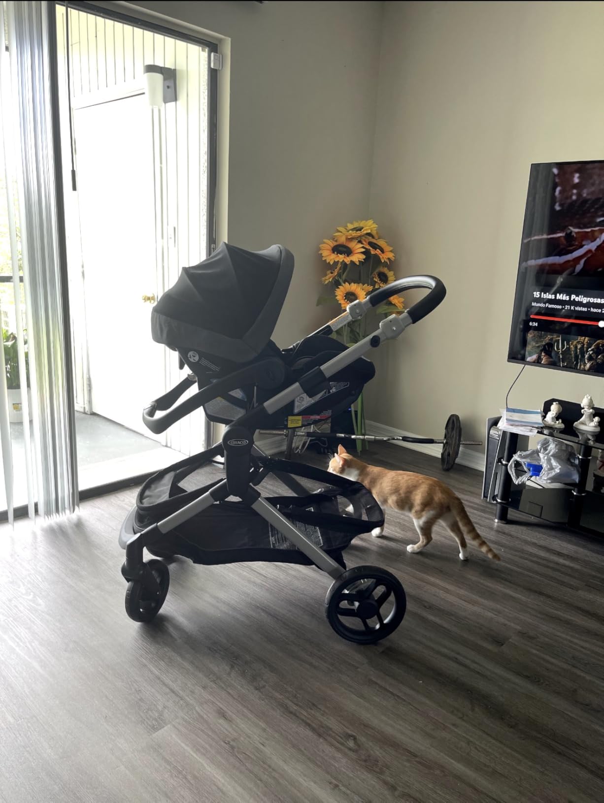 Graco Modes Nest Travel System, 3-in-1 Modular Carseat Stroller Combo, Includes the SnugRide DLX Infant Car Seat and Baby Stroller, Adjustable Slide2Me Car Seat Carrier to Toddler Stroller, Sullivan customer photo 1
