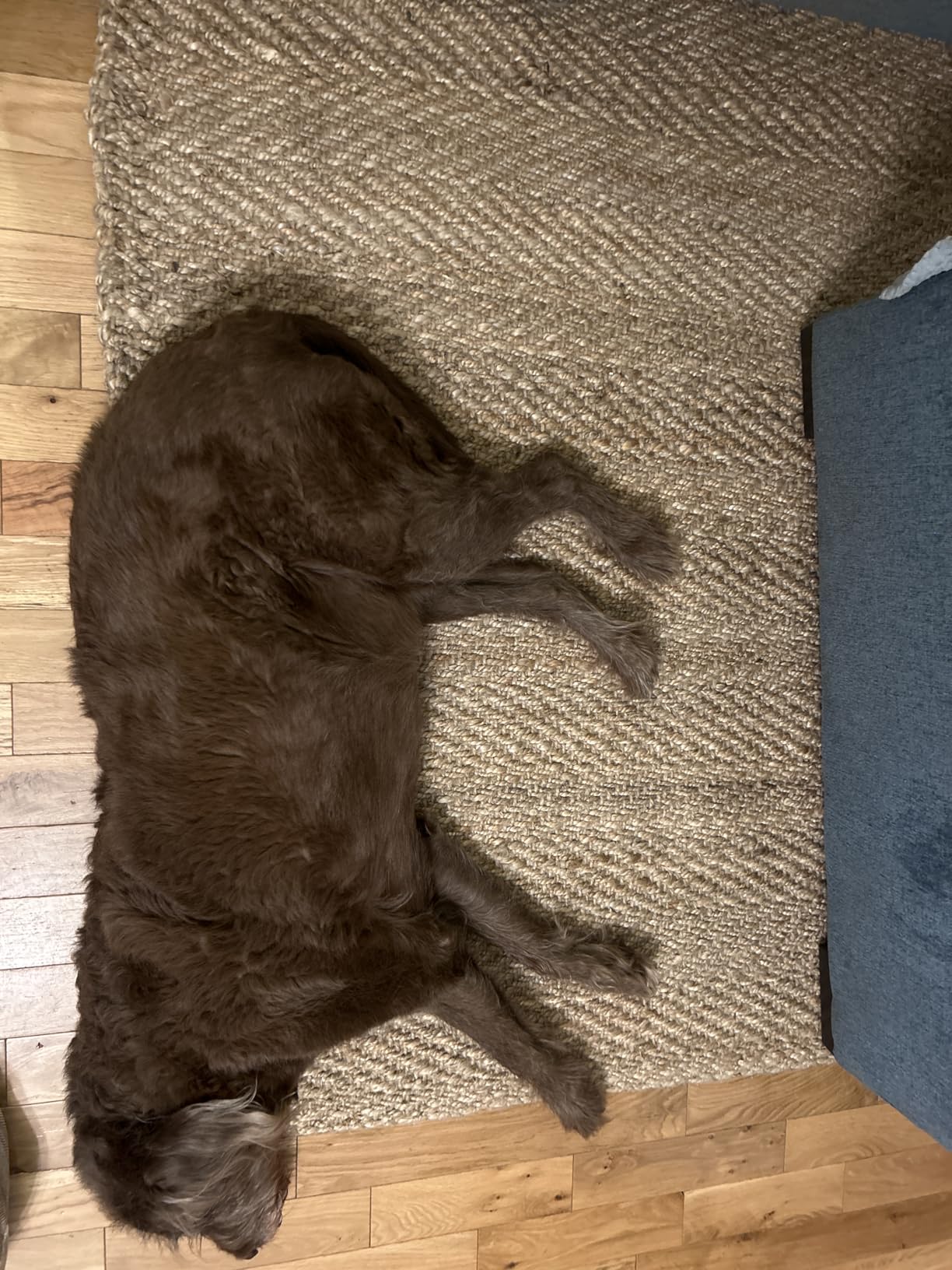 JONATHAN Y Espina Hand Woven Herringbone Chunky Jute Natural Indoor Area Rug, 8x10, Bohemian, Cottage, Easy-Cleaning for Living Room, Bedroom, Kitchen, Pet Friendly, Non-Shedding (NFR101A-8) customer photo 1