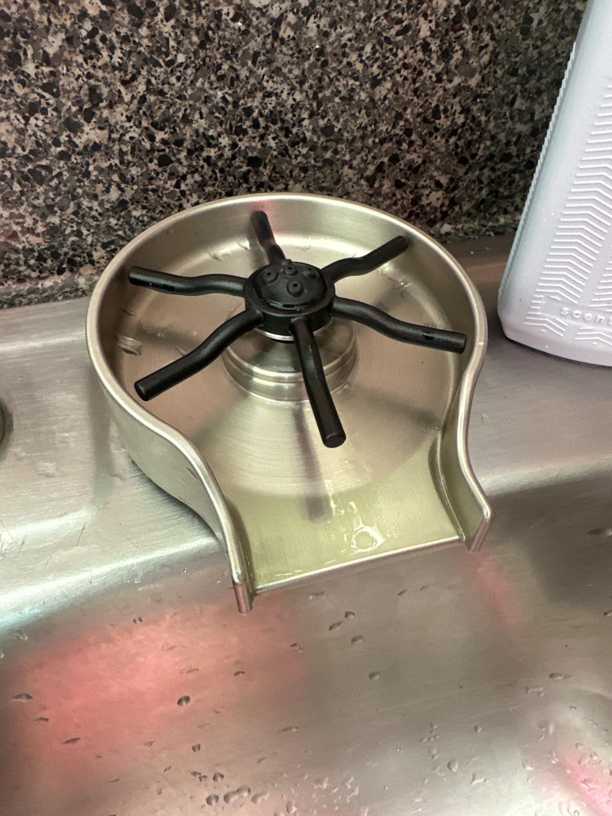 Delta Faucet Glass Rinser for Kitchen Sinks, Bar Glass Rinser, SpotShield Stainless GR150-SP customer photo 1
