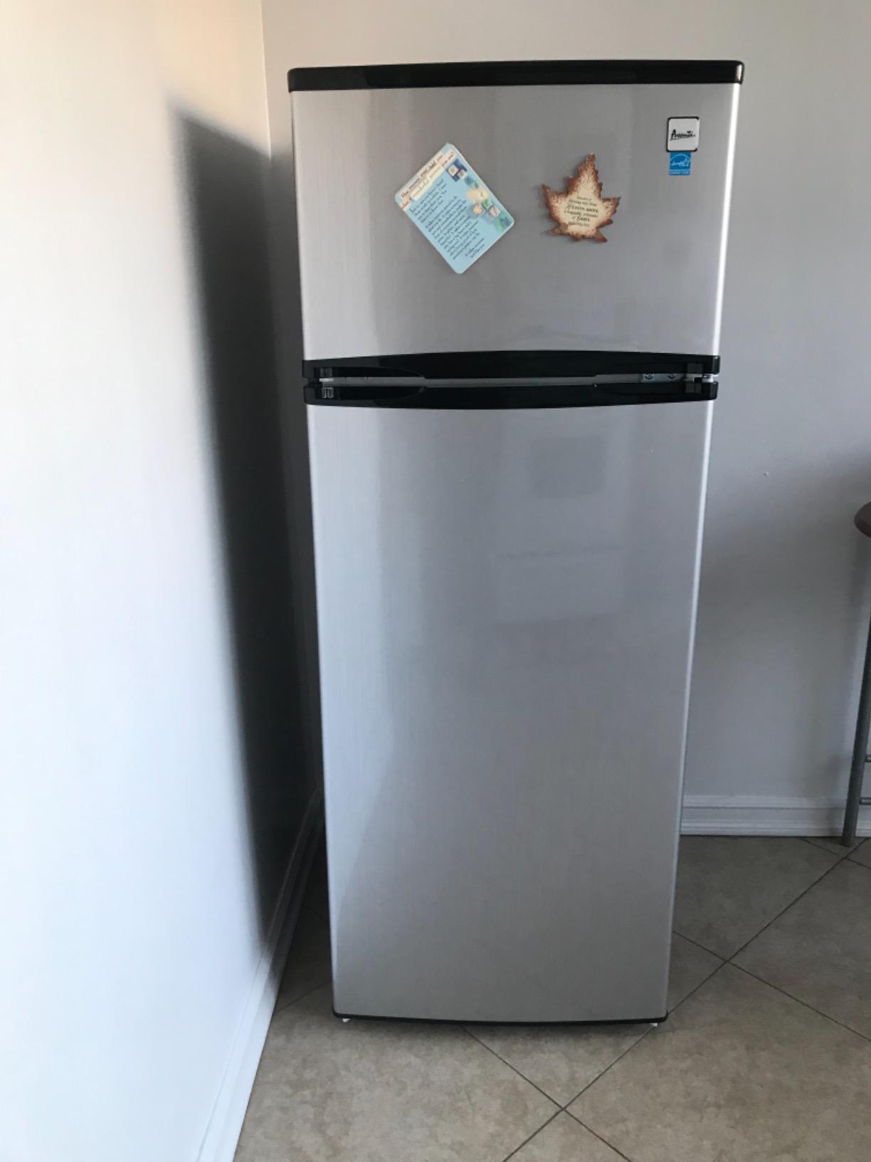 Avanti 15.6 cu. ft. Side-by-Side Apartment Refrigerator with Freezer, Compact Counter-Depth Fridge for Small Spaces, Stainless Steel customer photo 1
