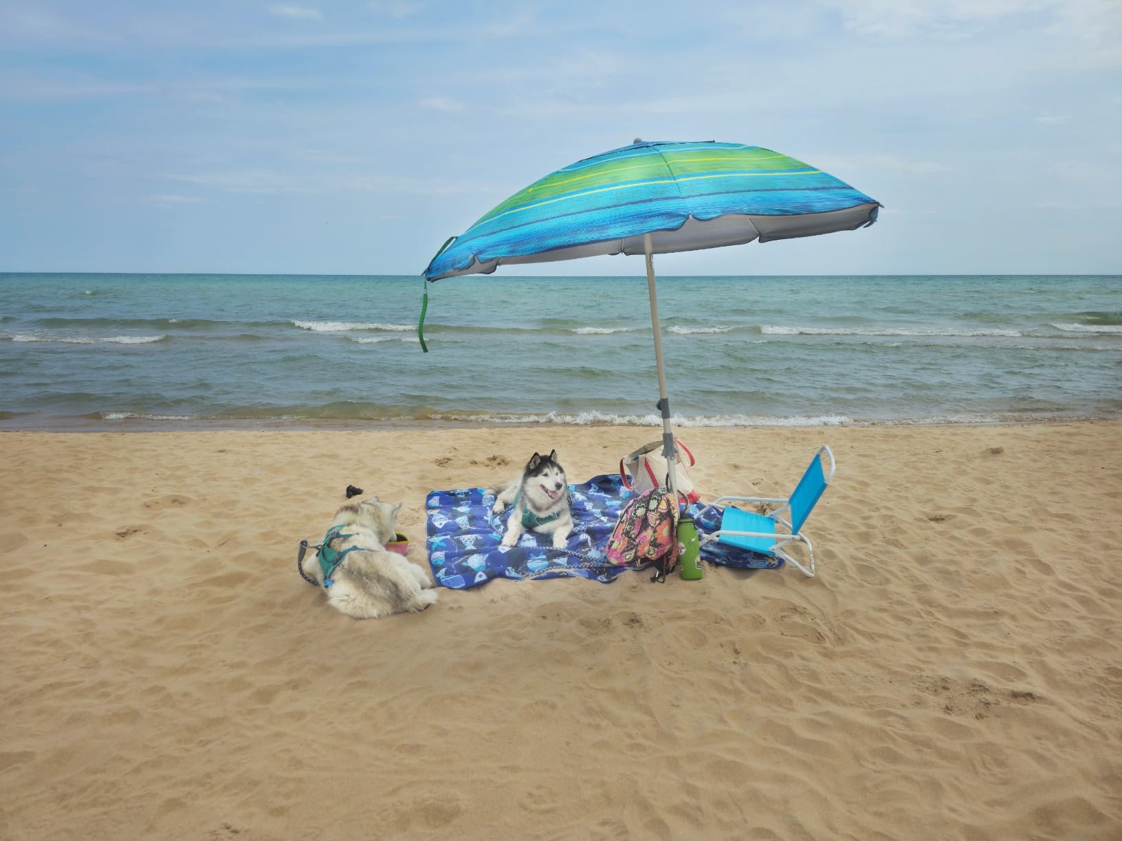 Blissun 7.2' Beach Umbrella with Sand Anchor, Outdoor Portable Beach Umbrella for Sand with Tilt Pole, Carry Bag, Air Vent customer photo 1