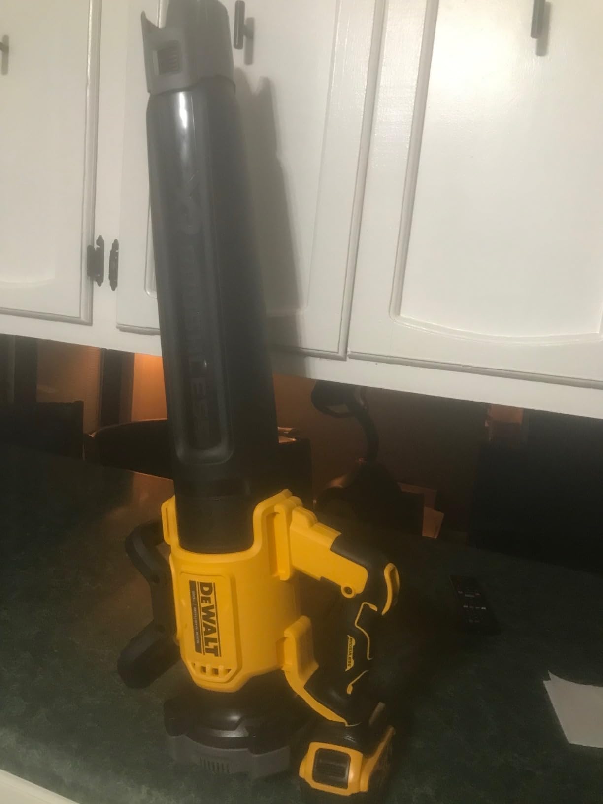 DeWalt 20V MAX XR DCBL722B Cordless Leaf Blower, 125-MPH 450-CFM (Tool Only) customer photo 2
