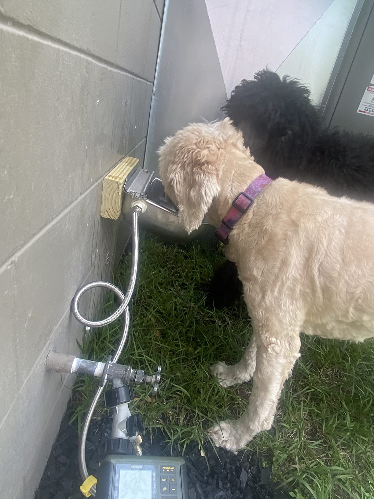 304 Stainless Steel Automatic Livestock Waterer with Float Valve and 39 inch Water Hose (one end 3/4''), Automatic Animal Water Bowl for Dogs, Horse, Calf, Chicken, Goat customer photo 2