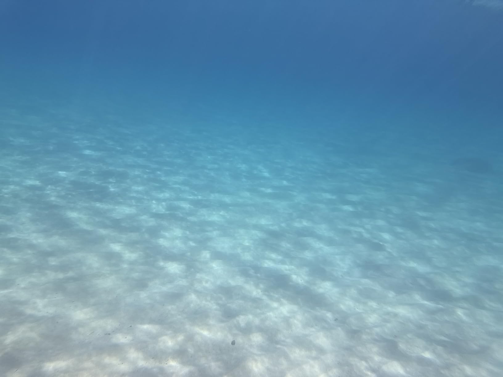 SeaLife SportDiver Underwater Smartphone Housing (130ft) customer photo 2