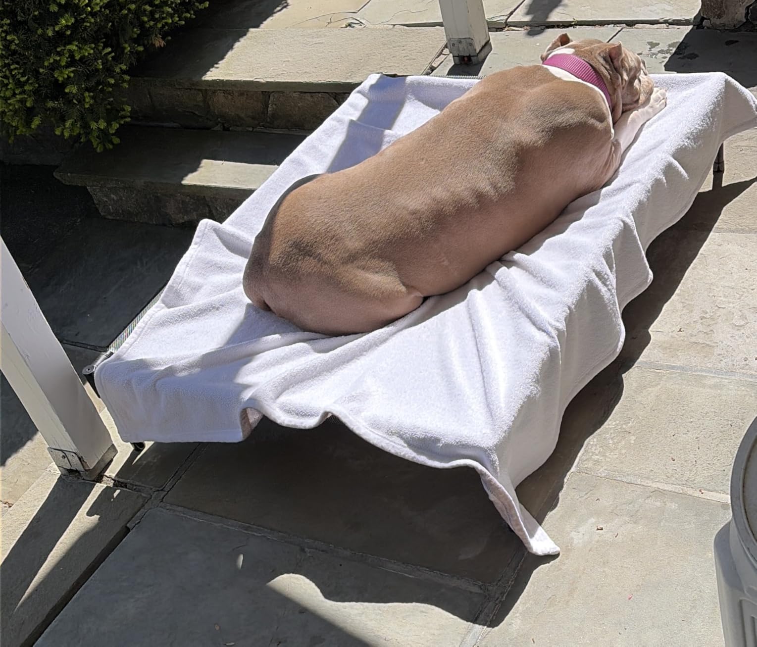 Suddus Elevated Dog Bed for Large Dogs 140lb, Breathable Cooling Raised Dog Cot with Dual Support Bars & Metal Frame, No-Slip Feet, Waterproof Pet Bed for Indoor/Outdoor, X-Large, 48 * 36 * 9in, Grey customer photo 2
