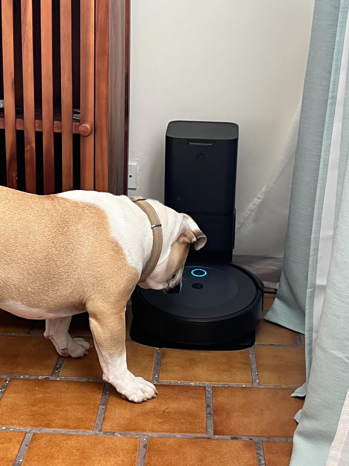 Roomba i4+ EVO Self Emptying Robot Vacuum - Empties Itself for up to 60 Days, Clean by Room with Smart Mapping, Compatible with Alexa, Ideal for Pet Hair, Carpets customer photo 1