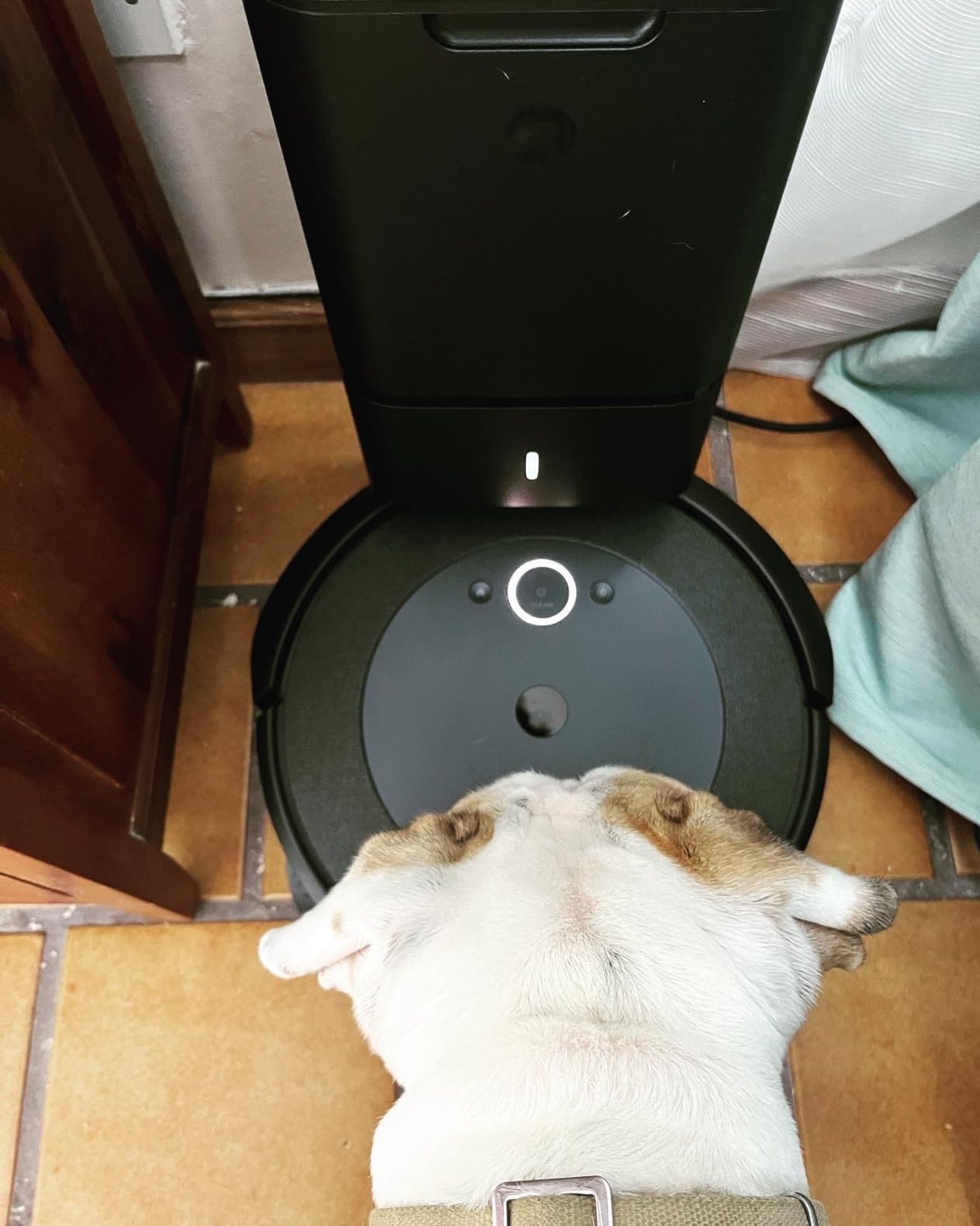 Roomba i4+ EVO Self Emptying Robot Vacuum - Empties Itself for up to 60 Days, Clean by Room with Smart Mapping, Compatible with Alexa, Ideal for Pet Hair, Carpets customer photo 2