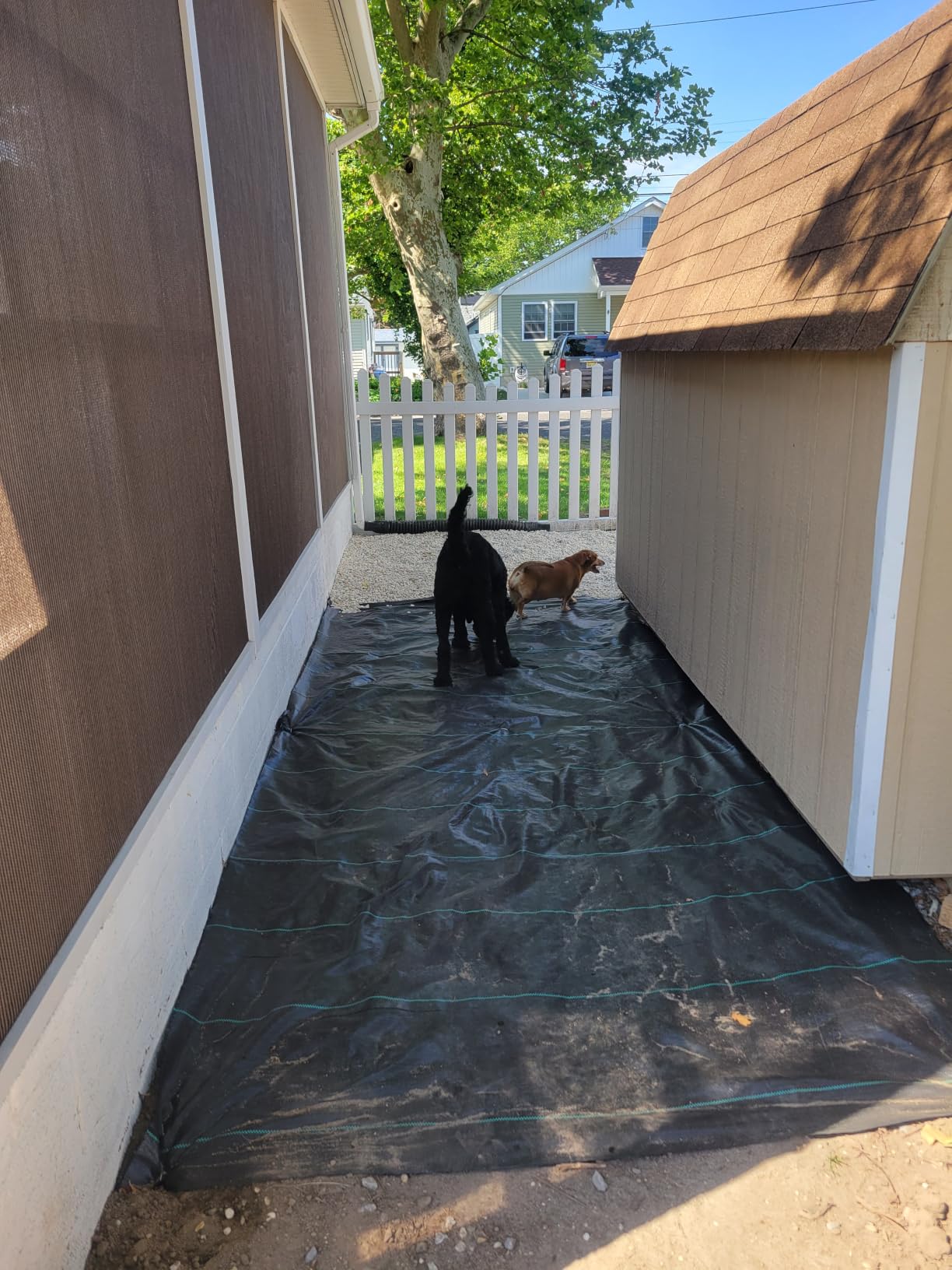 Happybuy Driveway Fabric, 13x108ft Commercial Grade Landscape Fabric, Garden Weed Barrier Fabric Heavy Duty, Geotextile Fabric Underlayment Gravel, Ground Cover Drainage Fabric, Weed Control Blocker customer photo 2