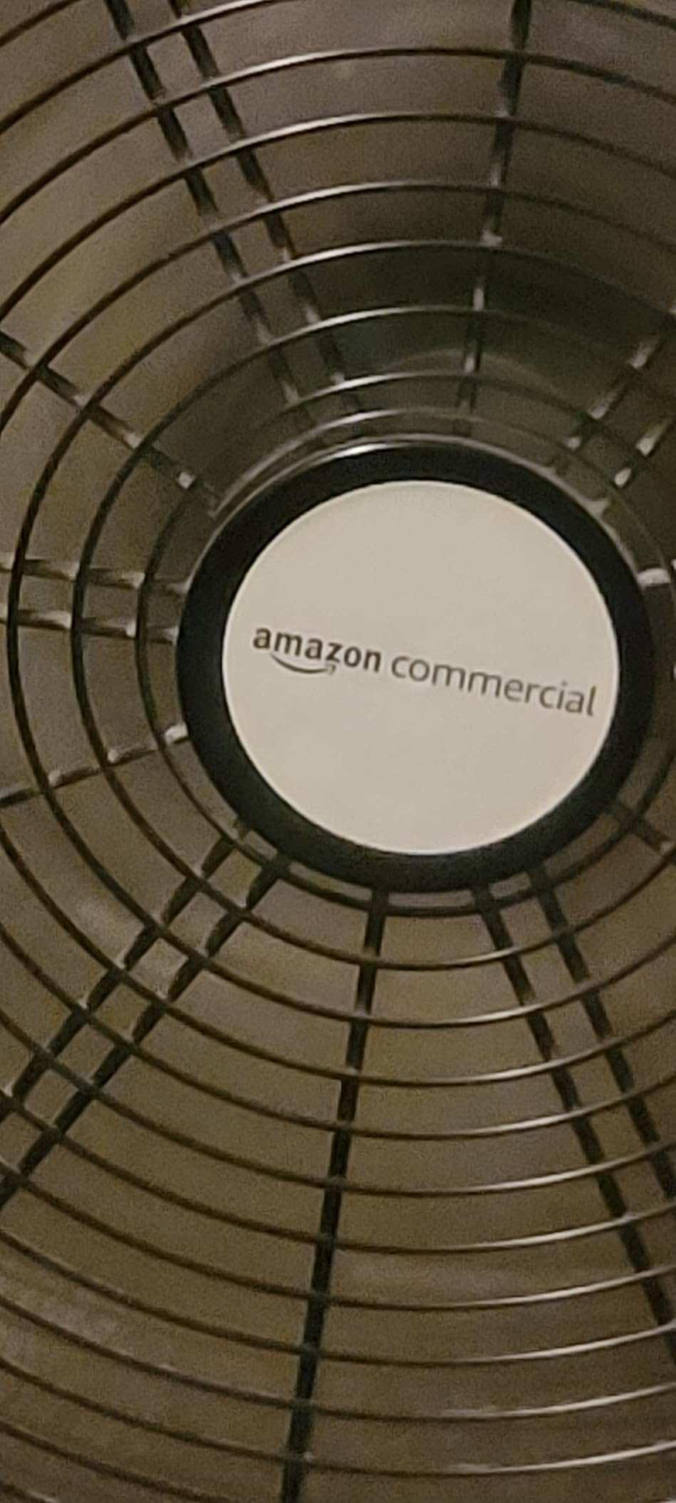Amazon Basics 24