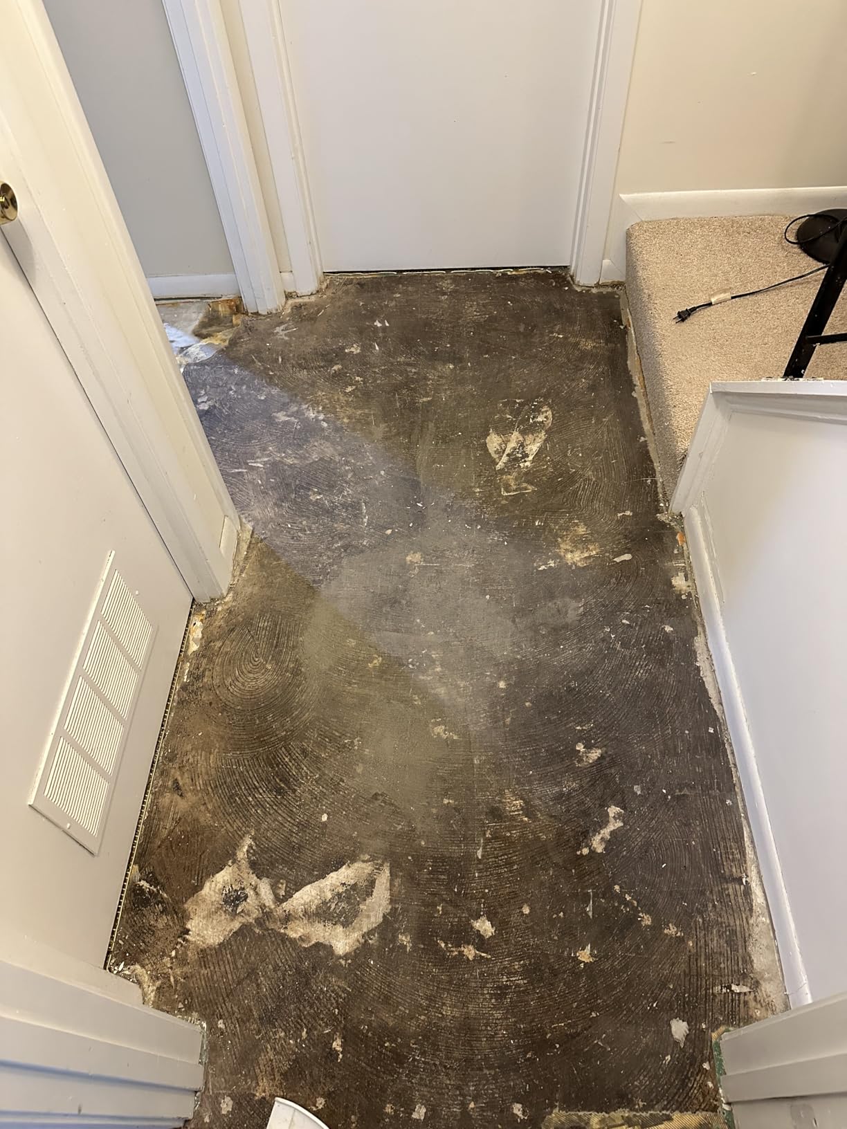 Bosch HS1418 5 In. x 11 In. SDS-plus Bulldog Floor Scraper customer photo 1