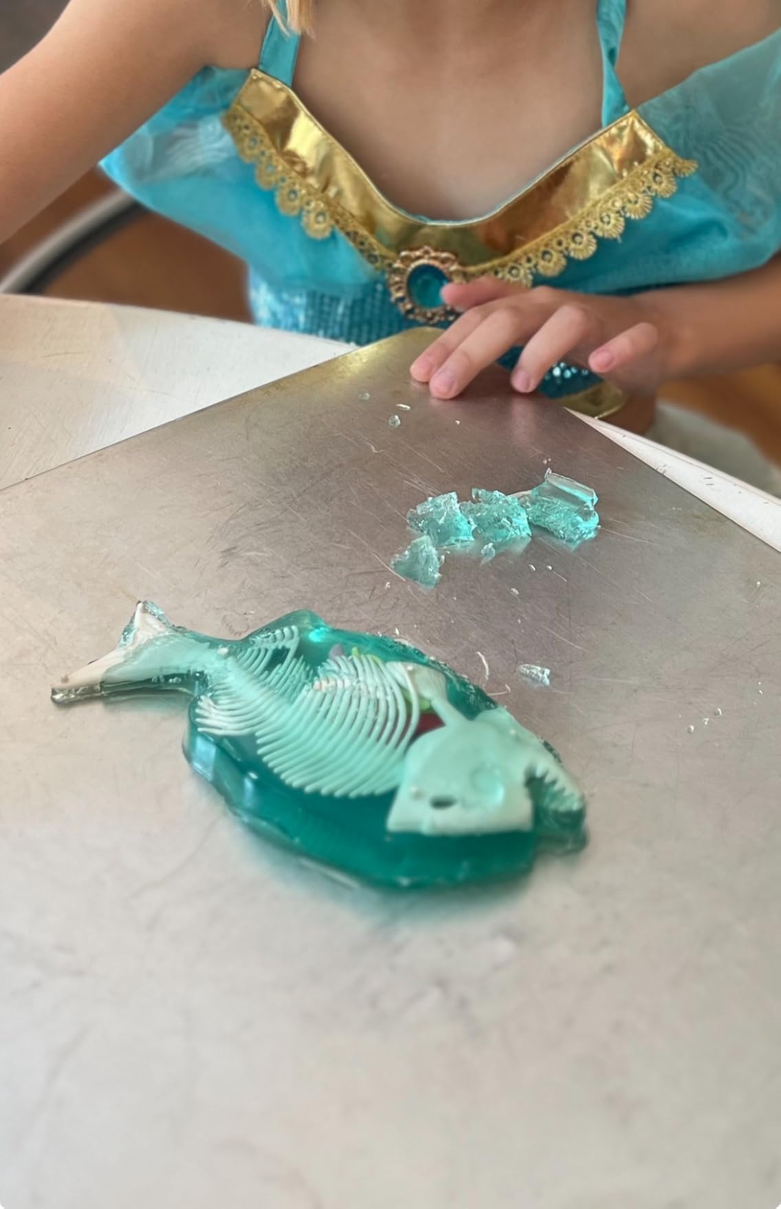 Dissect-It Simulated Synthetic Lab Dissection Toy, STEM Projects for Kids, Animal Science, Biology, and Anatomy Home Learning Kit, Bat customer photo 1