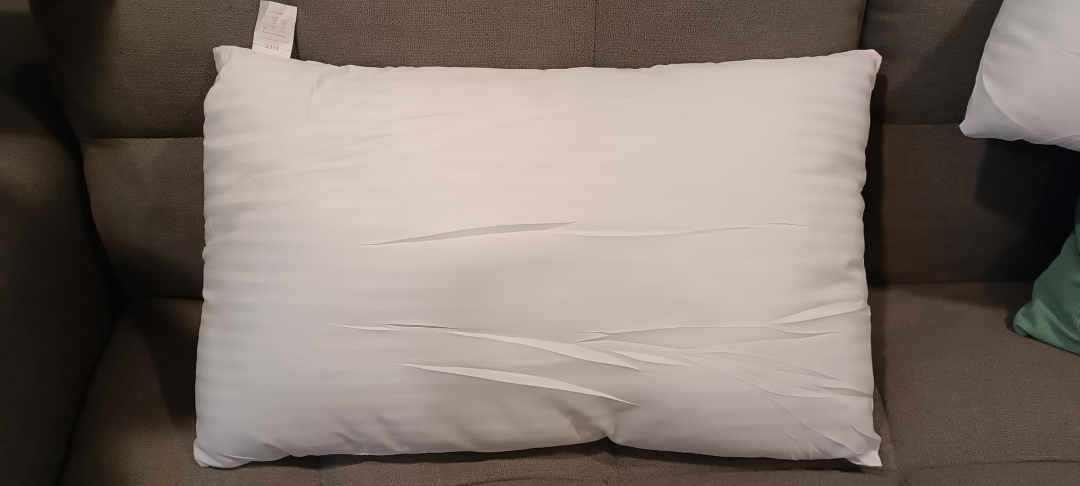 EIUE Hotel Collection Bed Pillows for Sleeping 2 Pack Queen Size, Pillows for Side and Back Sleepers, Super Soft Down Alternative Microfiber Filled Pillows, 20 x 30 Inches customer photo 1