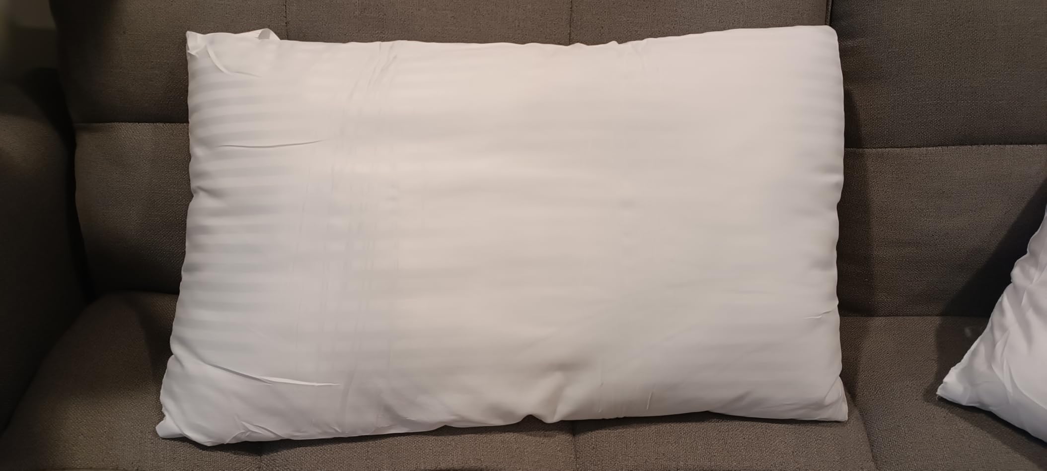 EIUE Hotel Collection Bed Pillows for Sleeping 2 Pack Queen Size, Pillows for Side and Back Sleepers, Super Soft Down Alternative Microfiber Filled Pillows, 20 x 30 Inches customer photo 2