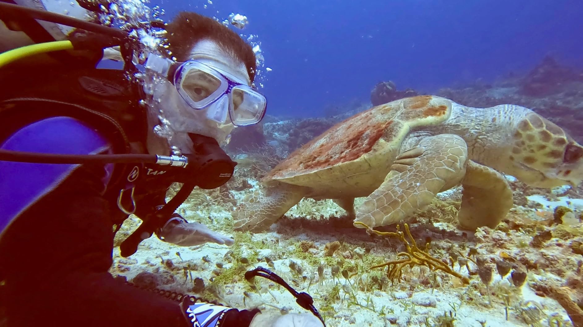 SOONSUN Waterproof Case with Dive Filters for GoPro Hero 13/12/11/10/9 customer photo 2