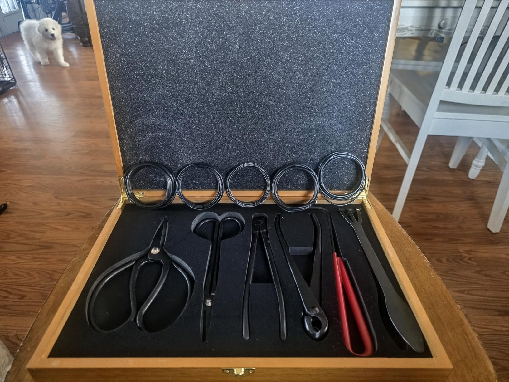 Bonsai Tools Set with Wood Box 12PCS Heavy Duty Bonsai Tree Kit, Trimming Scissor Shears, Concave Cutter, Wire Rolls, Wire Cutter and More, Gardening Pruning & Care Kit customer photo 1