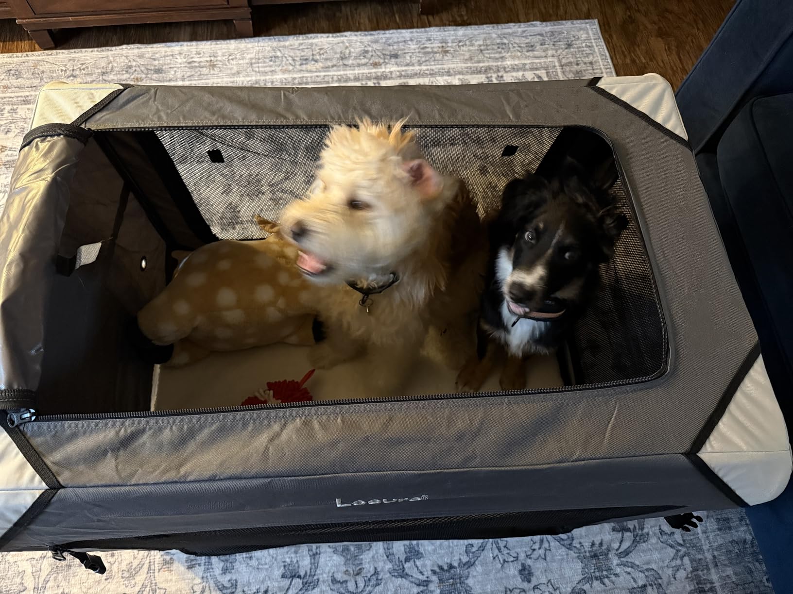 Lesure Collapsible Dog Crate - Portable Travel Kennel for Small Dog, 4-Door Pet Crate with Mesh Windows, Indoor & Outdoor, Light Gray customer photo 1