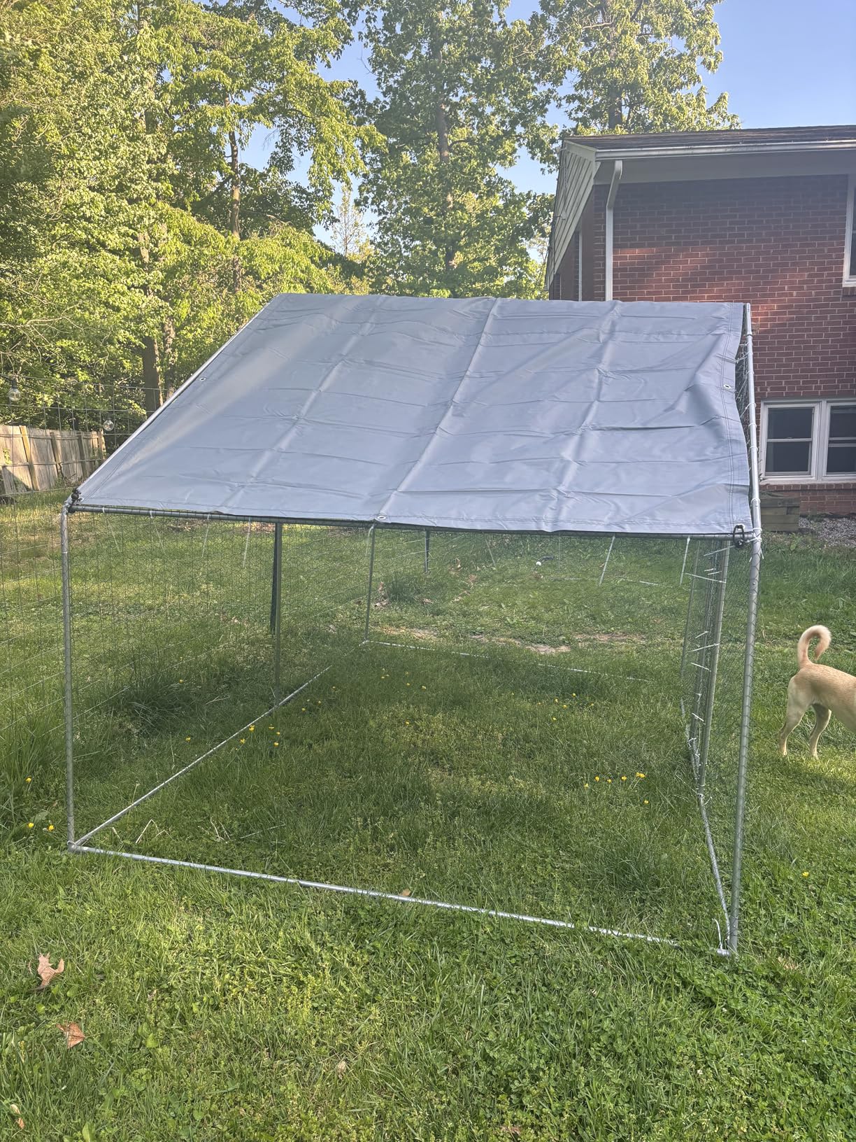 Large Metal Chicken Coop Round Top Upgrade Tri-Supporting Wire Mesh Chicken Run, Chicken Pen with Water-Resident and Anti-UV Cover, Duck Rabbit House Outdoor (Spire Roof 10' W x 13' L x 6.5' H) customer photo 1