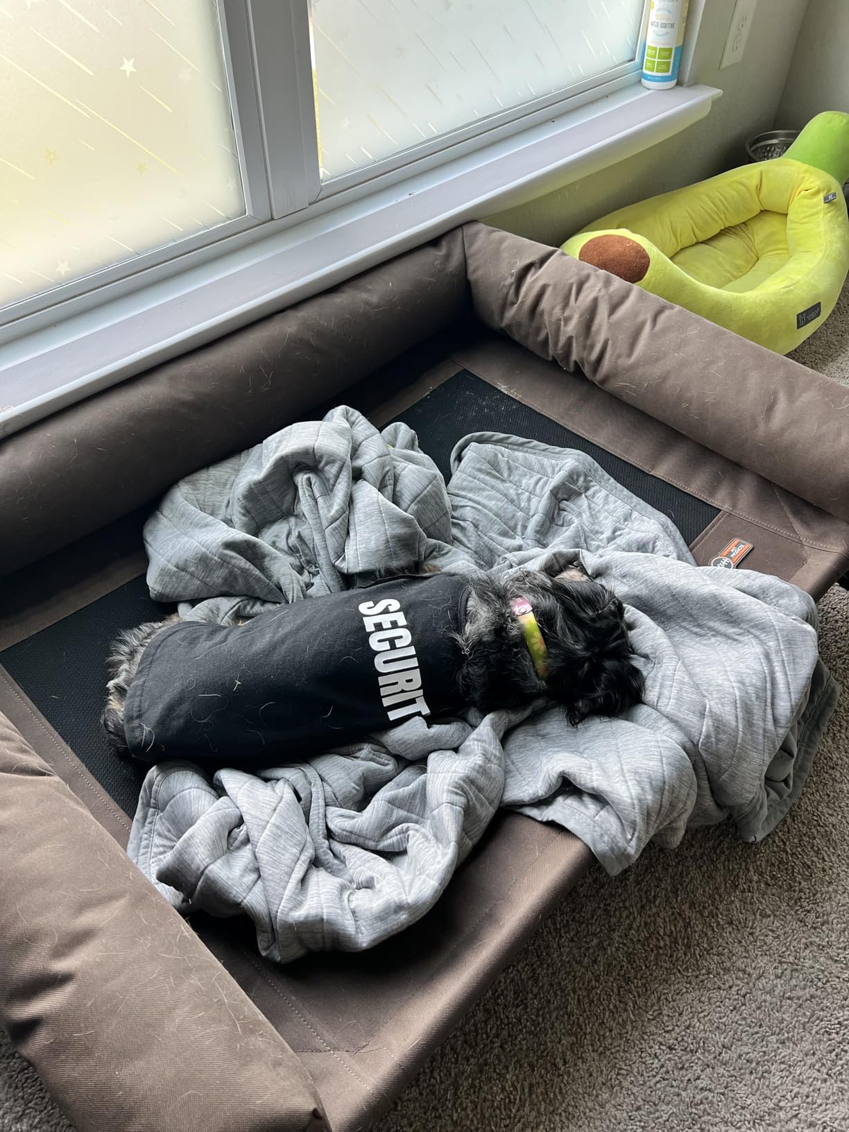 K&H Pet Products Bolster Dog Cot, Cooling Indoor Outdoor Elevated Cot Hammock Dog Bed with Removable Washable Bolsters, Washable Mesh Cover, Raised Metal Frame - Large 42 X 30in Charcoal customer photo 2