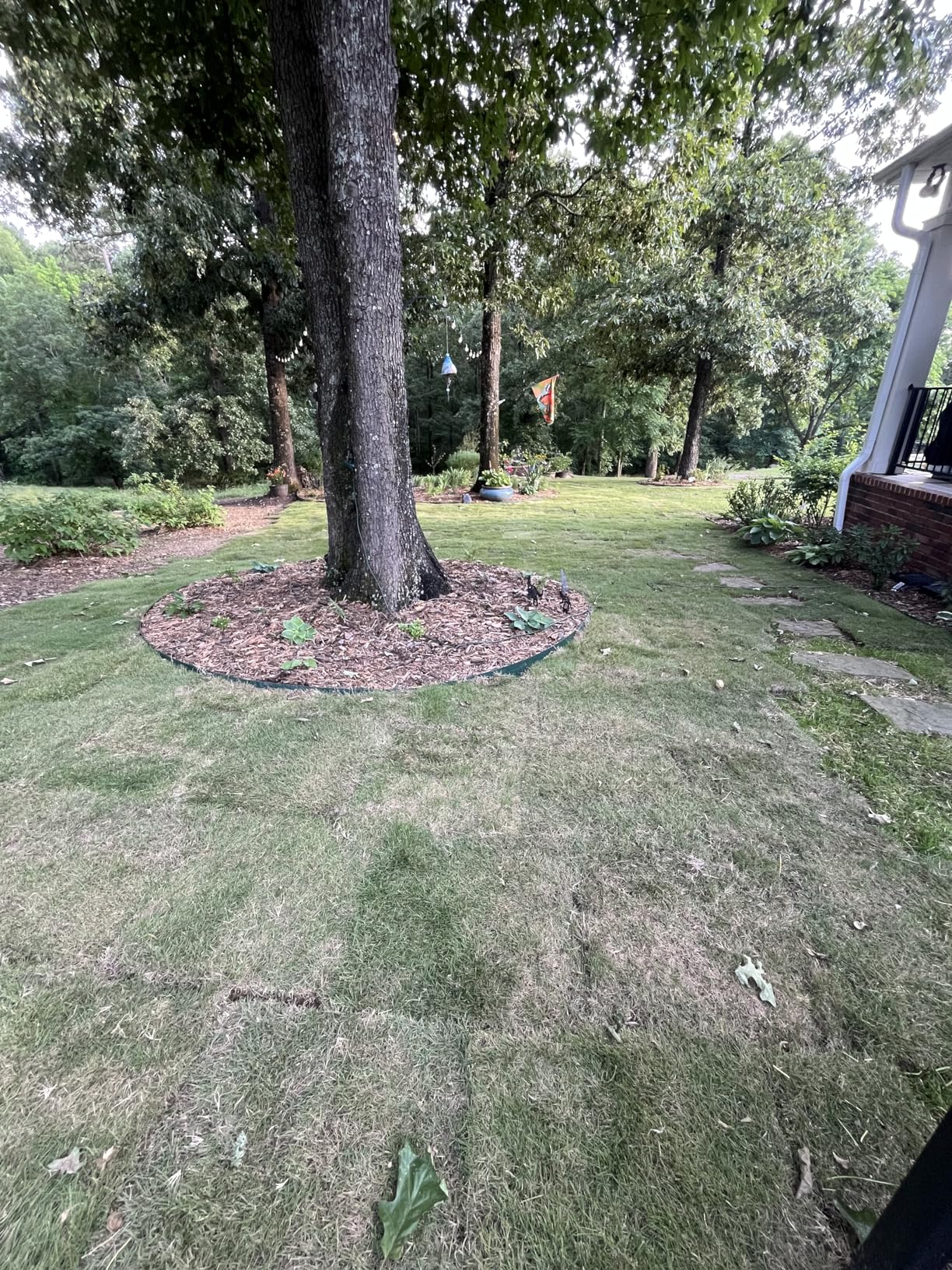 Vodaland Permeable HexPave System - Grass & Gravel Pavers - 100% Recycled PPE Plastic, Handles 27,000 lbs, 1