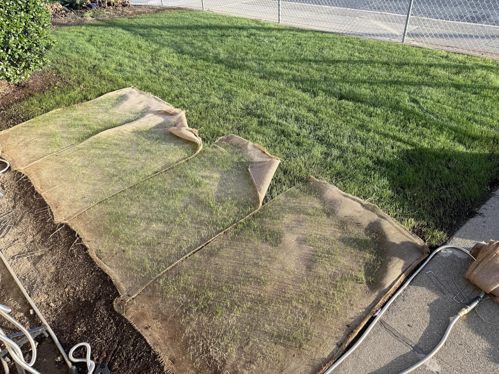 Riakrum 2 Pcs 48 Inch X 60ft in Total Erosion Control Blanket Burlaps Netting Mesh Burlap Erosion Control Liner Blanket Burlap Loose Weave Planter Liner Roll for Raised Bed Soil Saver customer photo 2