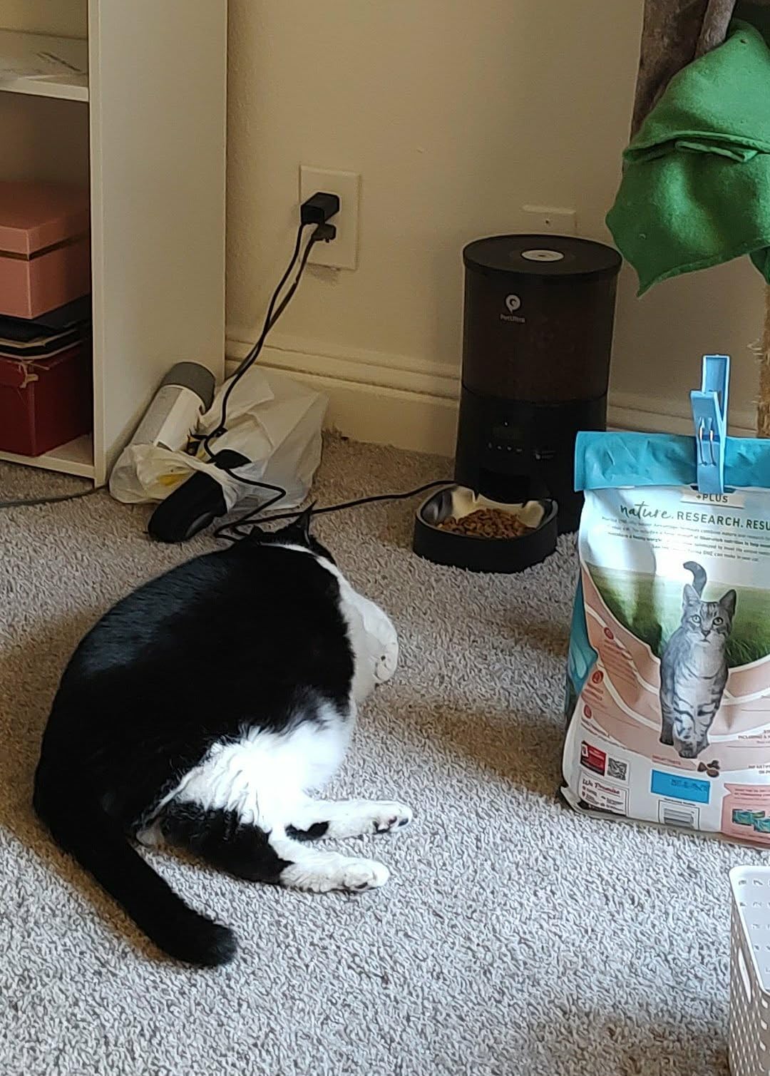 PETULTRA Automatic Cat Feeder: 4L Timed Cats Food Dispenser Programmable 1-6 Meal for Cat and Small Medium Dog- Auto Pet Feeder Easy to Set Up Dual Power Supply with Desiccant Bag customer photo 1