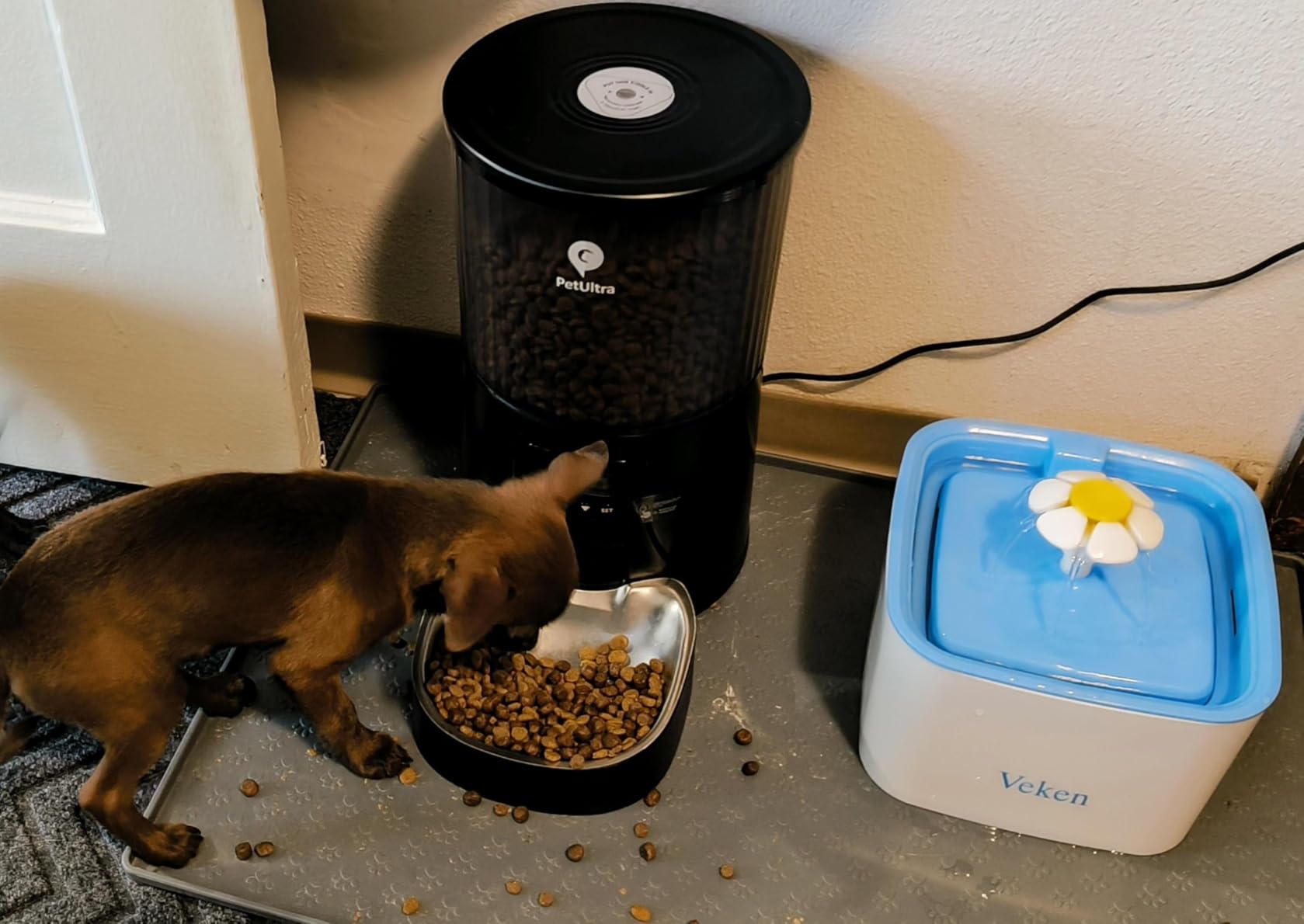 PETULTRA Automatic Cat Feeder: 4L Timed Cats Food Dispenser Programmable 1-6 Meal for Cat and Small Medium Dog- Auto Pet Feeder Easy to Set Up Dual Power Supply with Desiccant Bag customer photo 2