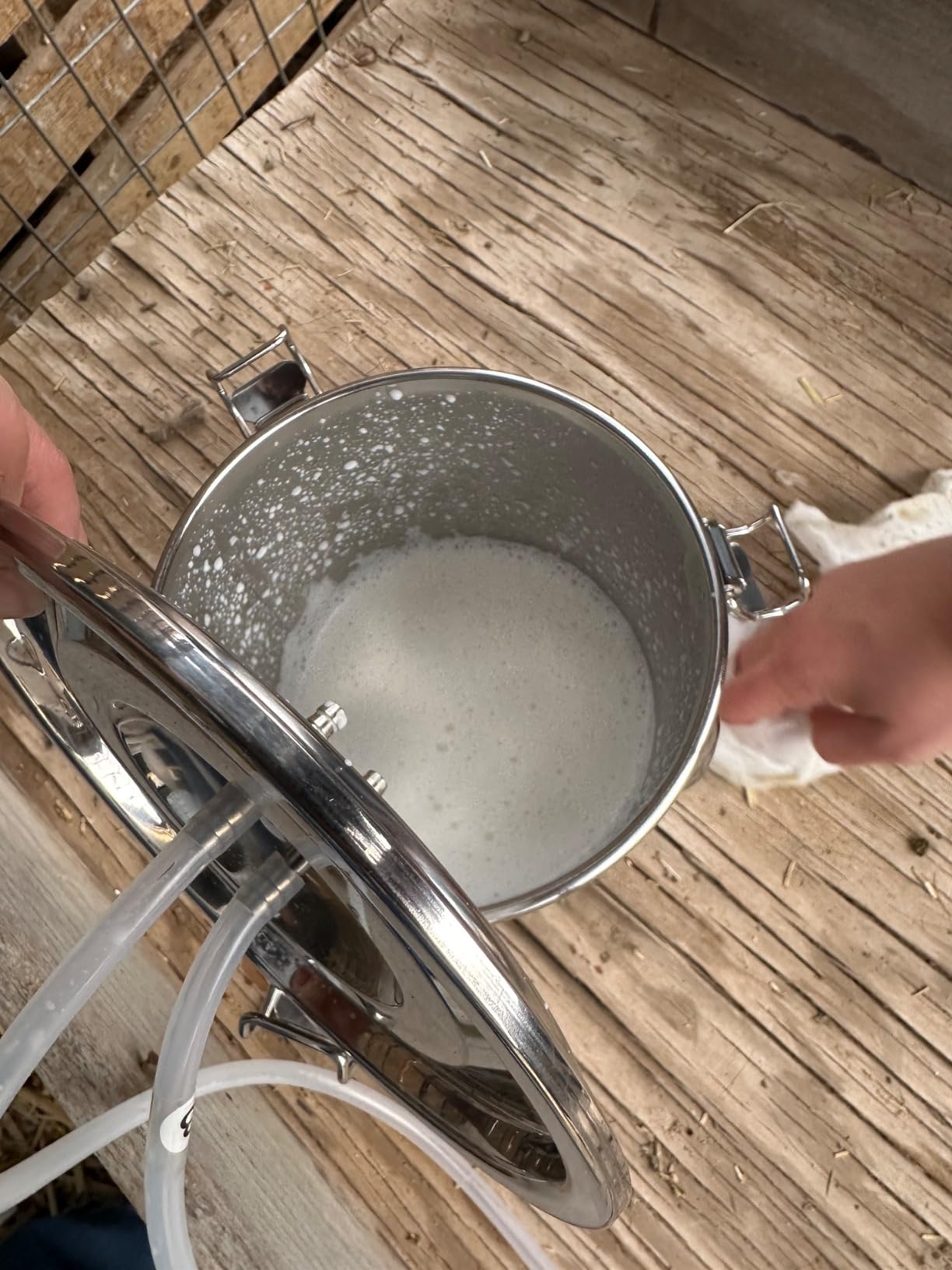 2026 Upgrade 14L Goat Milking Machine, Continuously Adjustable Suction Pulsation Vacuum Electric Milker, Portable Livestock Milking Machine with Stainless Bucket(US Plug)(14L Goat) customer photo 1