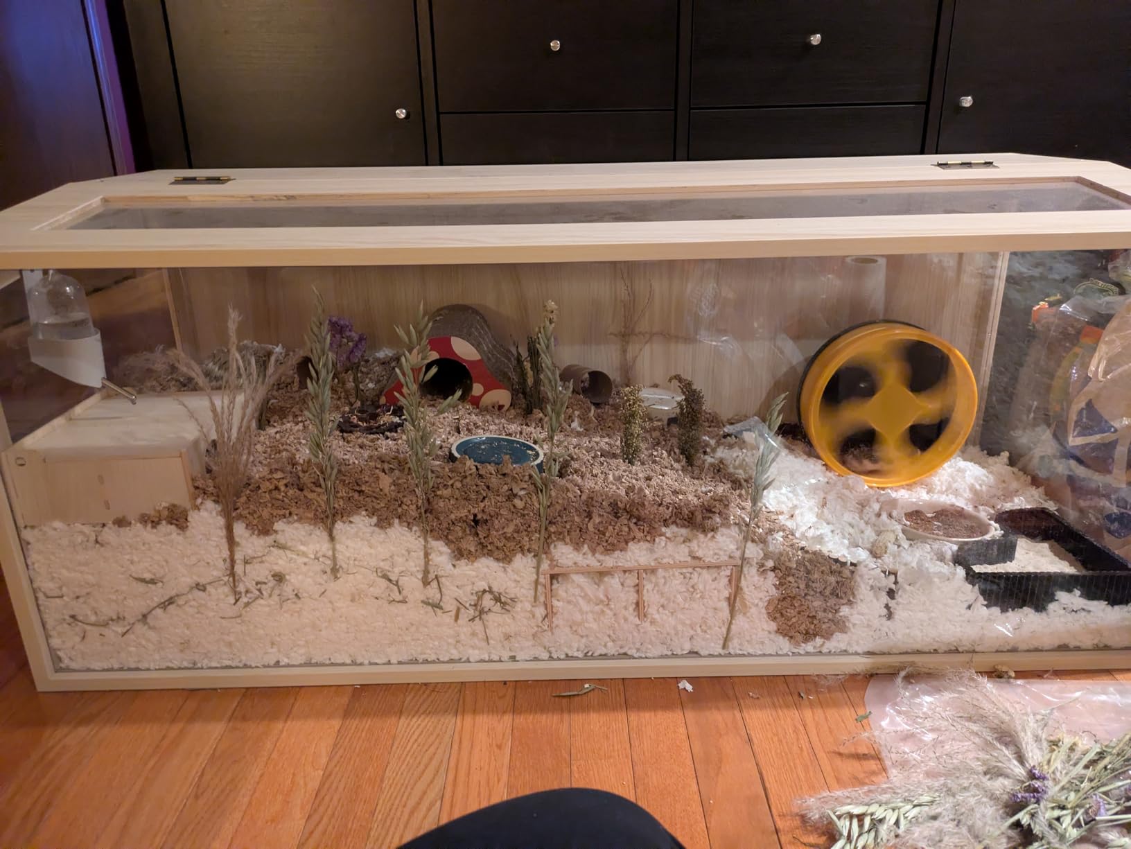 Prolee Hamster Cage Chewproof, Large Hamster Cages and Habitats 32 Inch Openable Top with Acrylic Sheets Solid Built (Amazon's Choice) customer photo 1