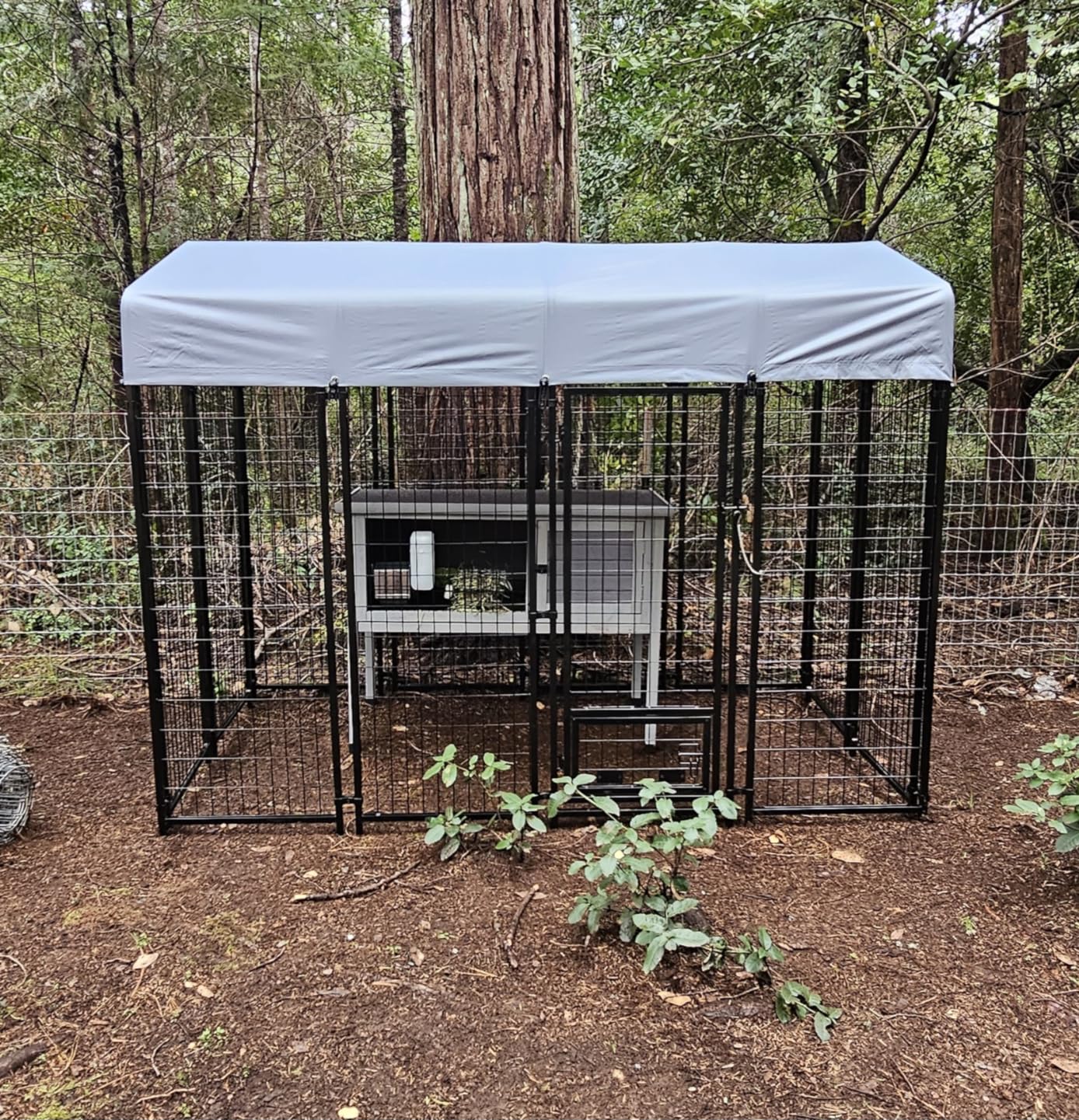 LEMBERI Heavy Duty Large Outdoor Dog Kennel 8x4x6 FT, Escape-Proof Dog Run with Double-Latch Gate, Heat Dissipation Sunshade Cover & 2 Stainless Steel Bowls, Galvanized Steel Dog Cage Enclosure customer photo 1