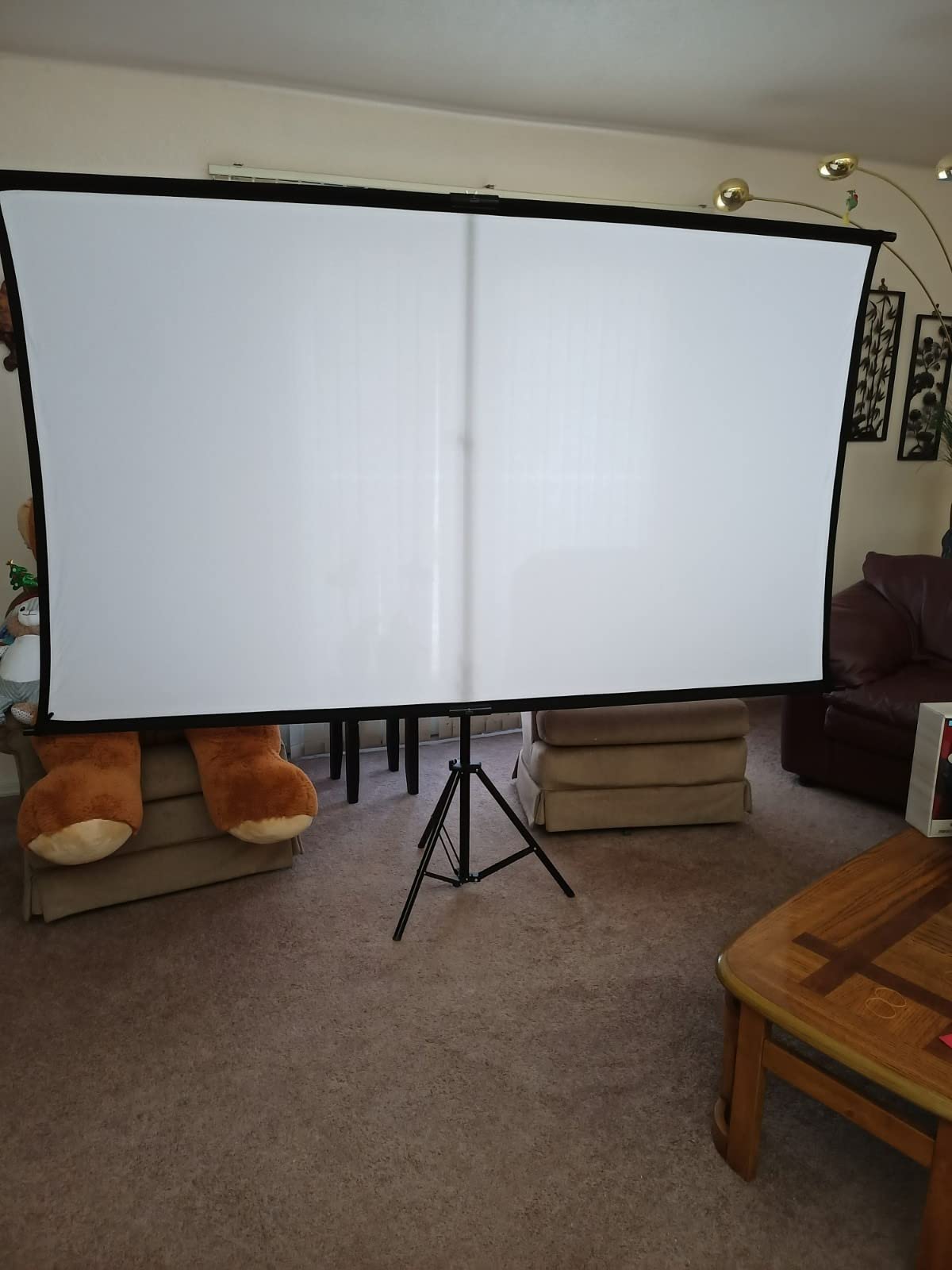 60 Inch Portable Projector Screen with Tripod Stand, Compact Mobile Projection Screen for Small Spaces, Height Adjustable and Wrinkle-Free for Indoor Outdoor Camping and Office Use customer photo 2